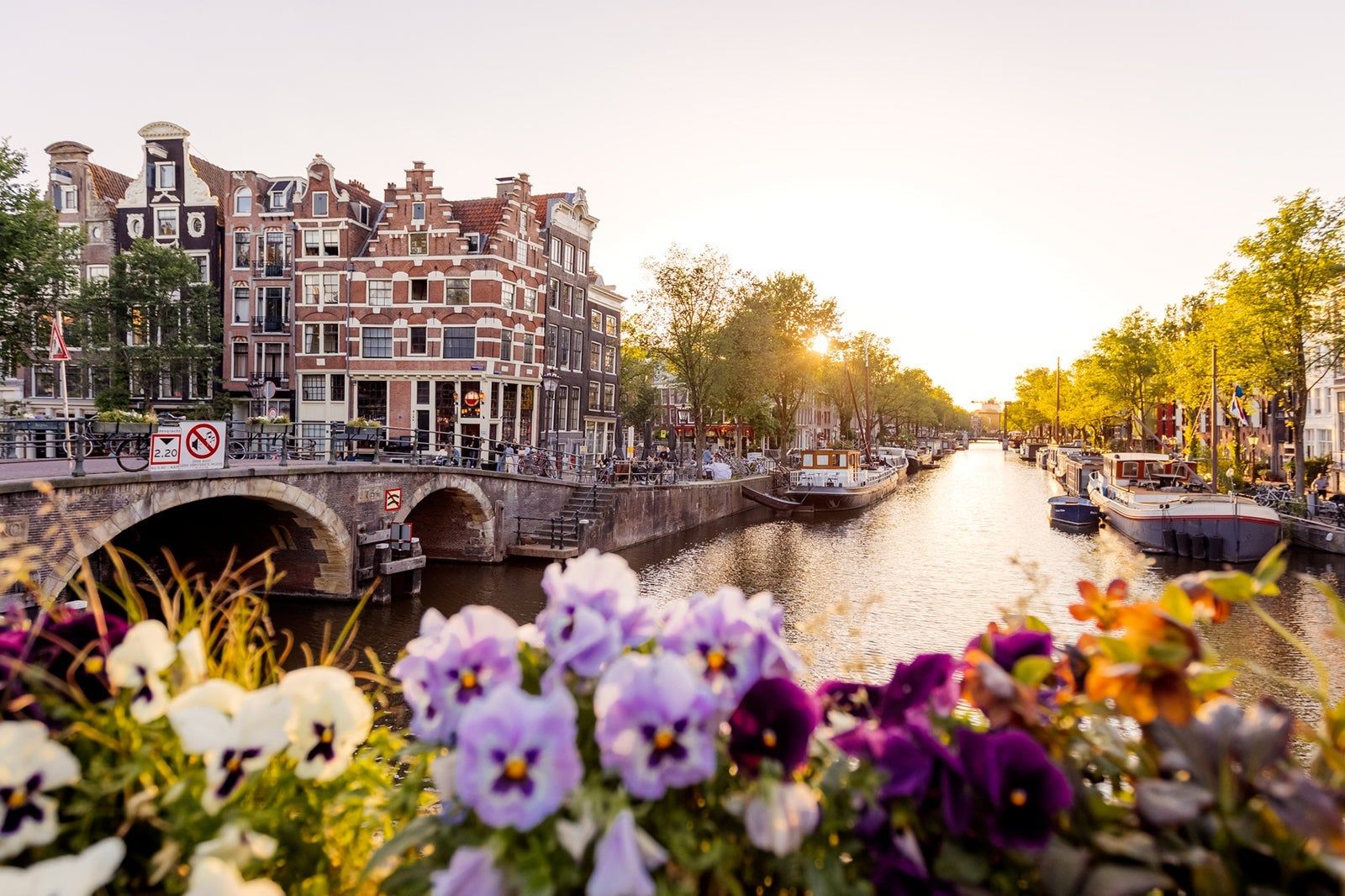 Traveling Abroad? 10 Countries Where English Fluency Rivals Home