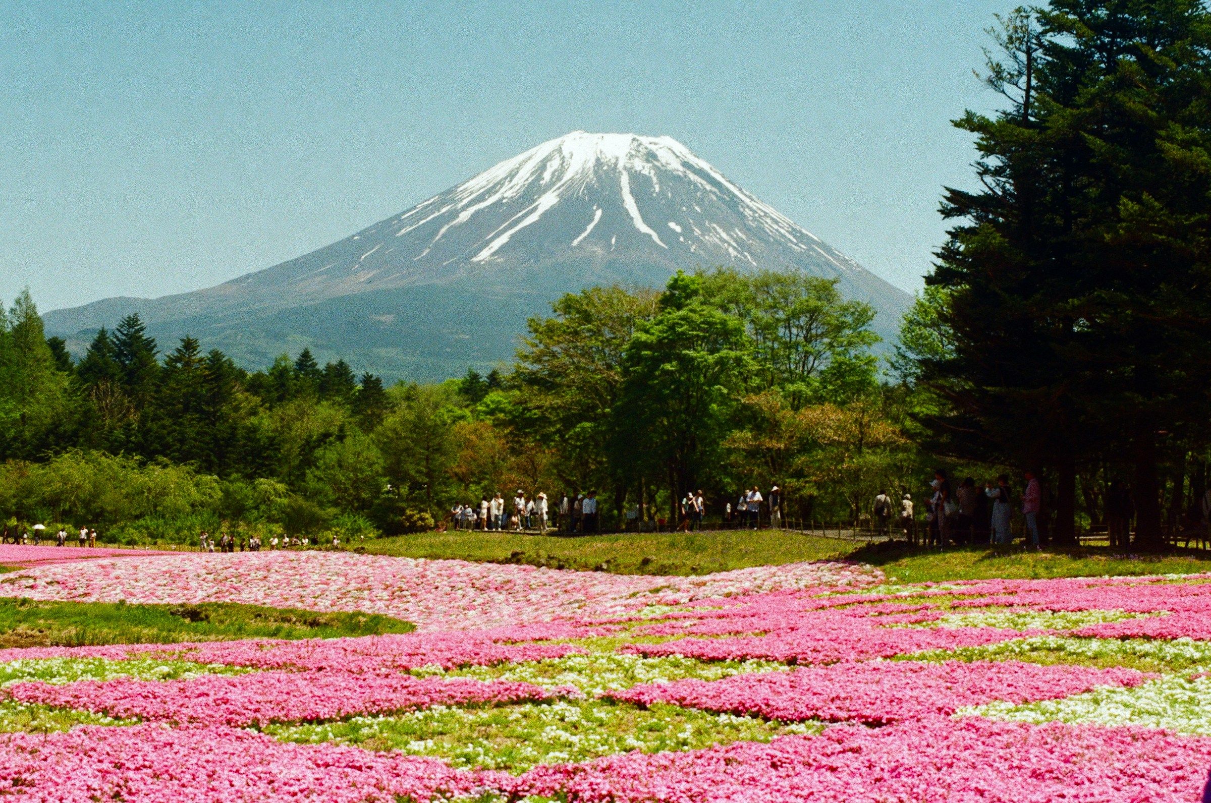 The 9 Most Beautiful Countries on Earth, Ranked