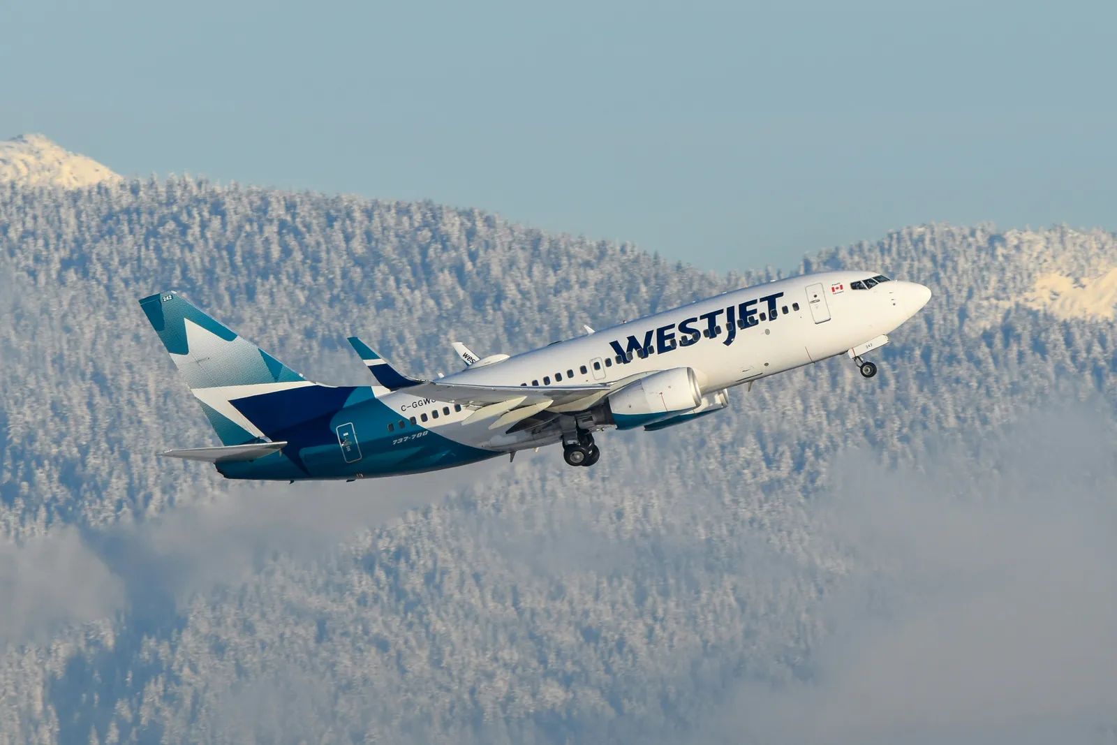 Tim Hortons Coffee to Debut on WestJet Flights
