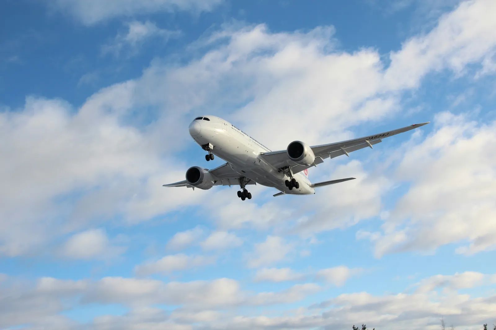 ExpertFlyer Now Automates Alerts During Flight Disruptions