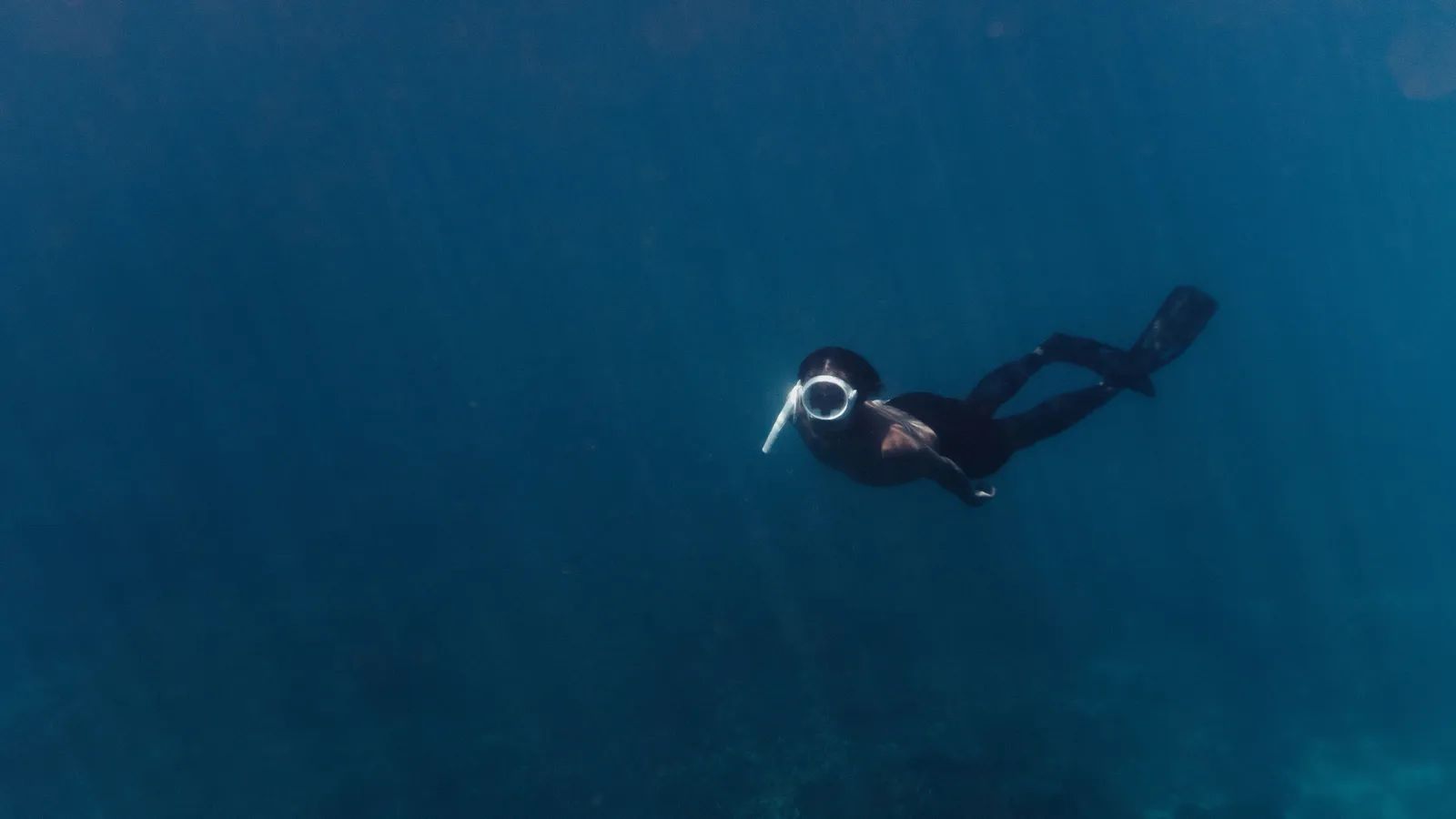 Indonesia's Bajau Sea Nomads Turn to Traditional Freediving After Compressor Ban