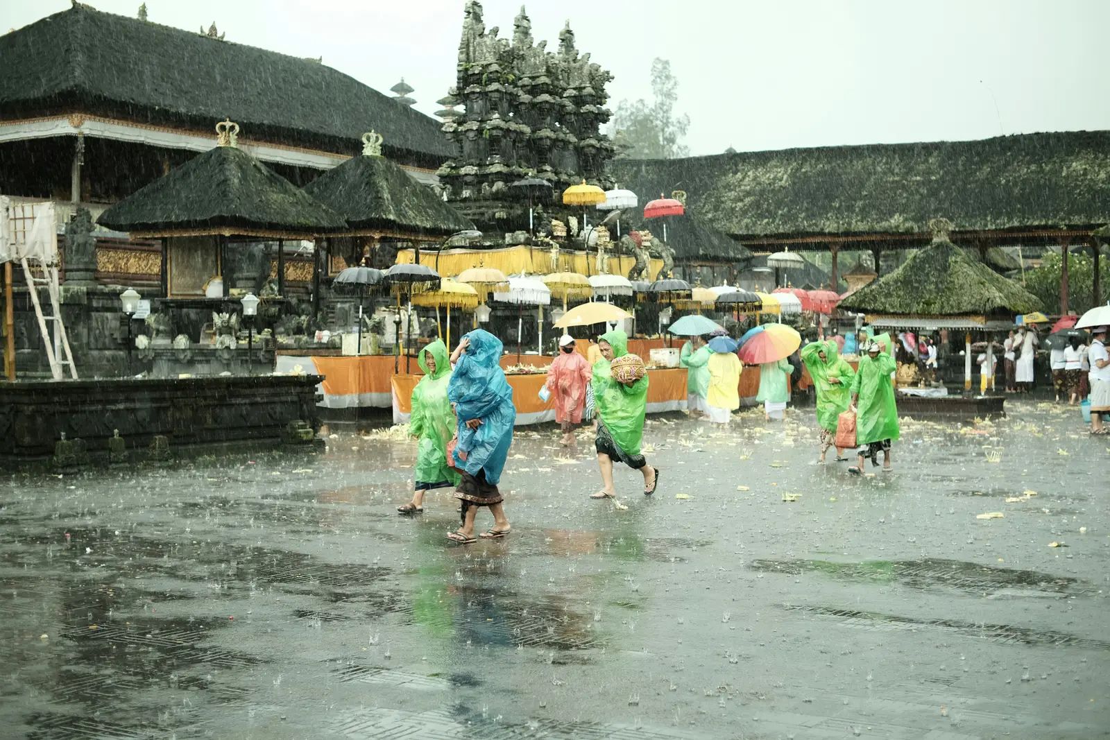 Bali Fireflies Fade as Development Spreads, One Local Launches a Rescue Effort