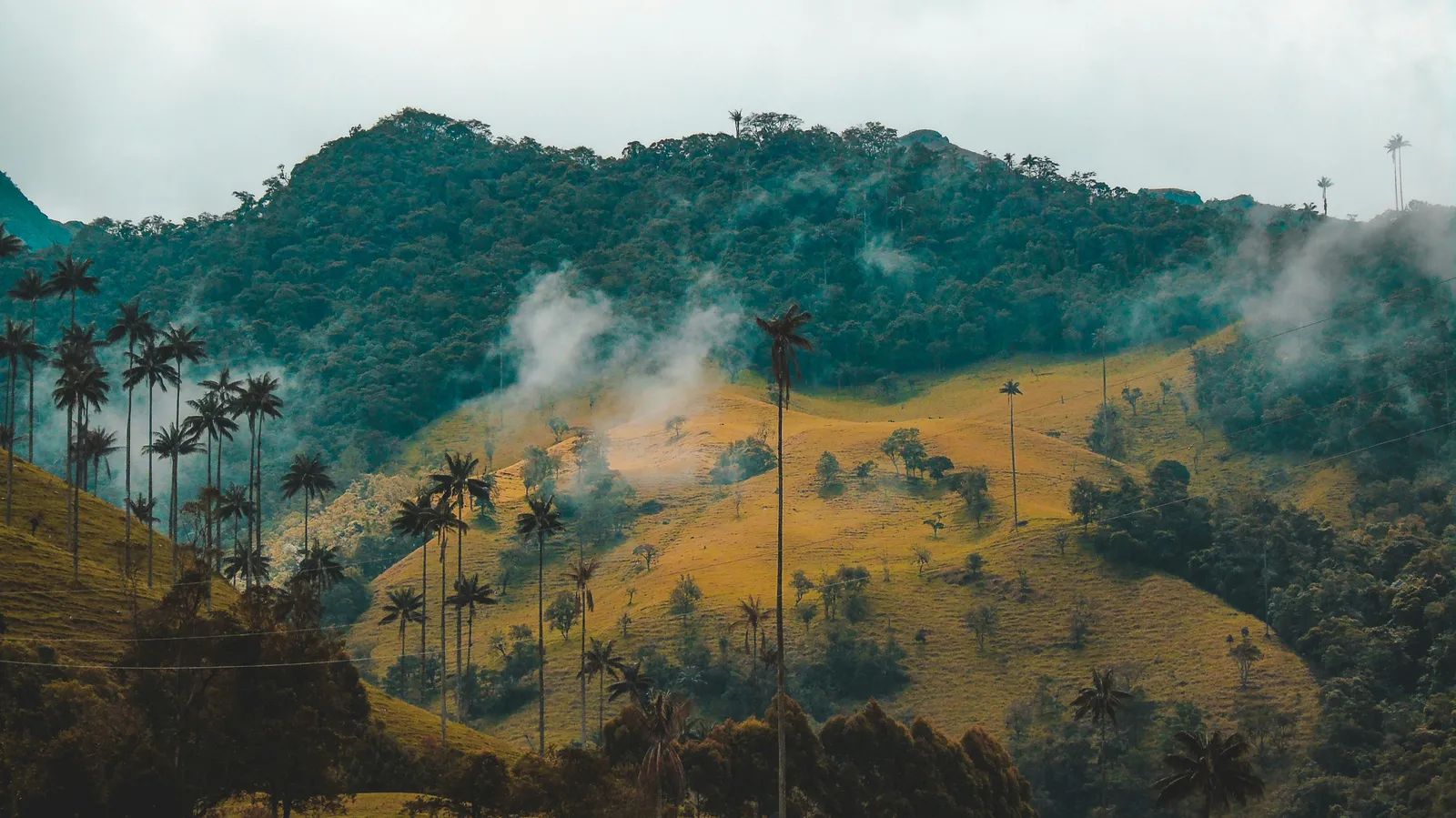 Puerto Wilches: Colombia Revives Fracking Plans in Magdalena River Wetlands