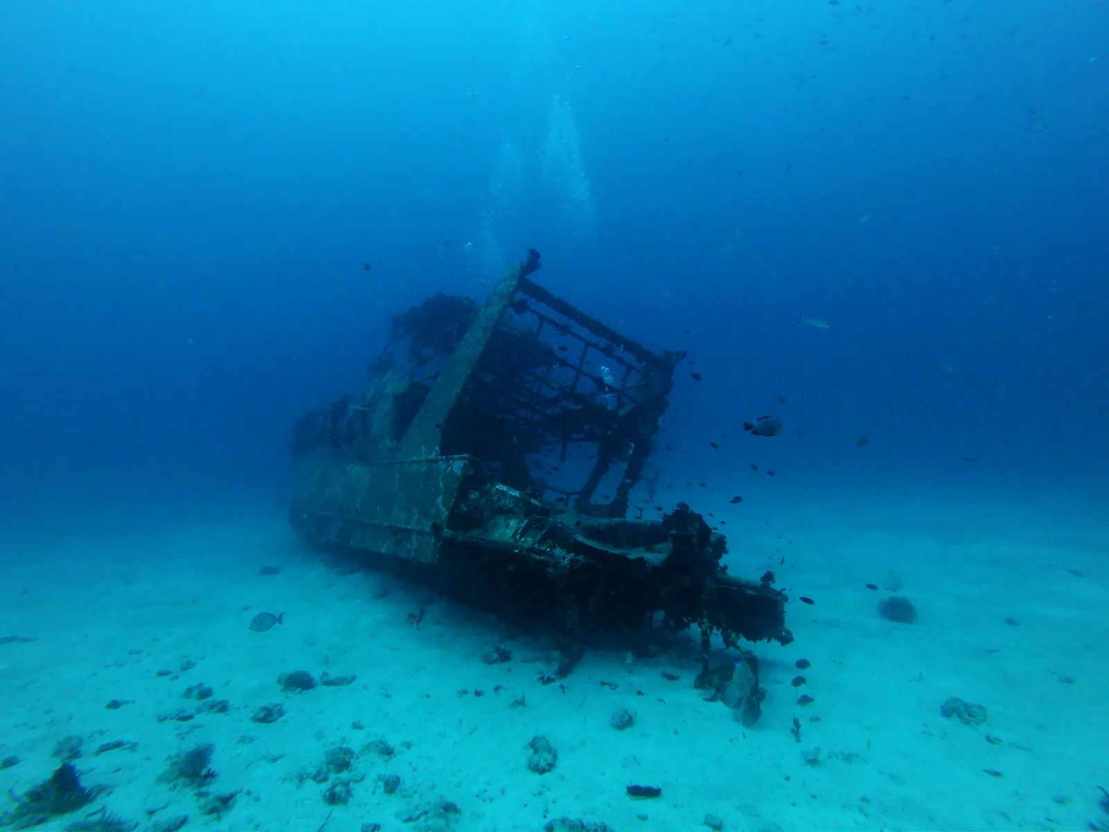 Divers Can Now Explore Sunken Planes and Underwater Worlds That Humans Built on Purpose