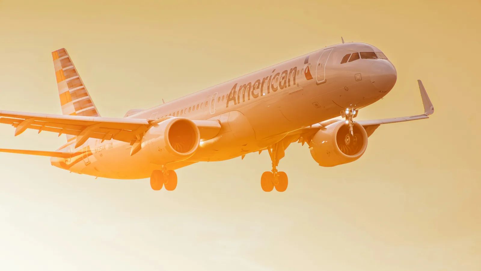 Earn AAdvantage Miles on Everyday Purchases