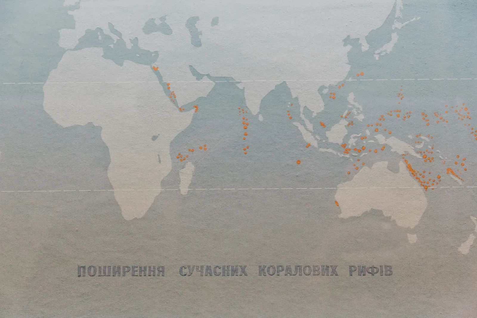 Volunteers Map Billions of Museum Specimens