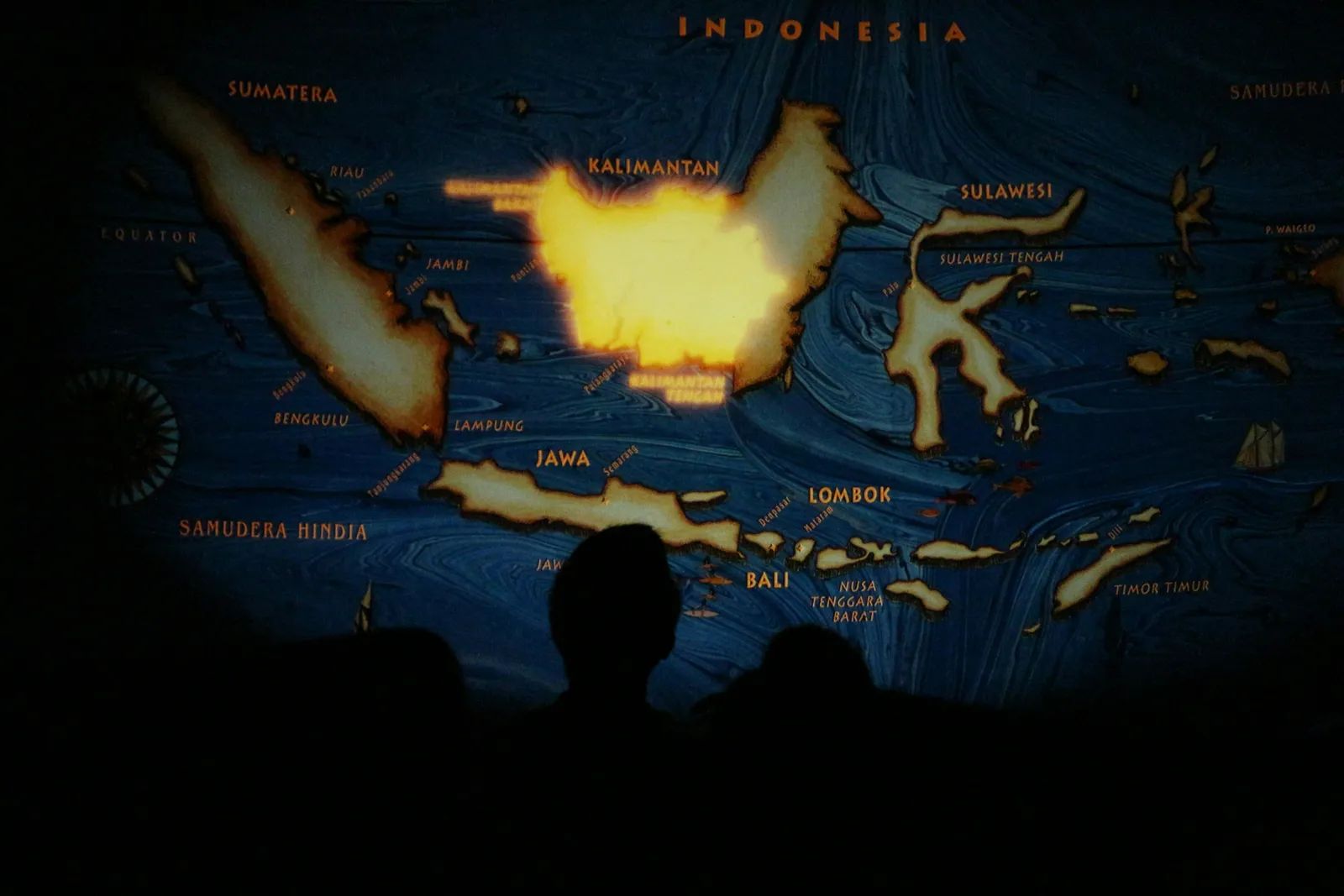 Kalimantan Fires Scorch 119,000 Acres of Borneo Rainforest, Indigenous Activist Ties Blazes to Corporate Land Deals