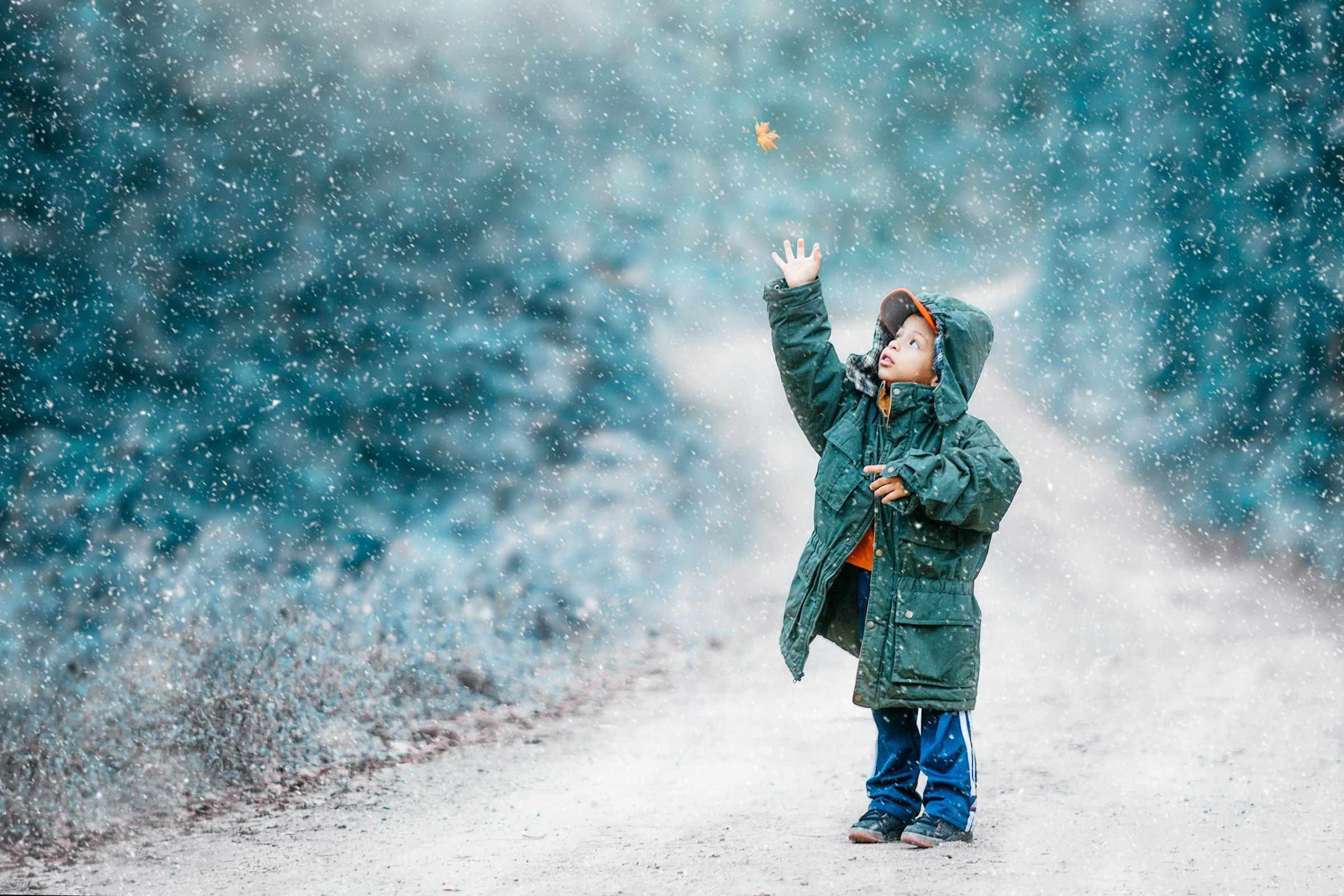 El Niño Could Change Snowfall and Cold Patterns Across the US This Winter 2026–2027