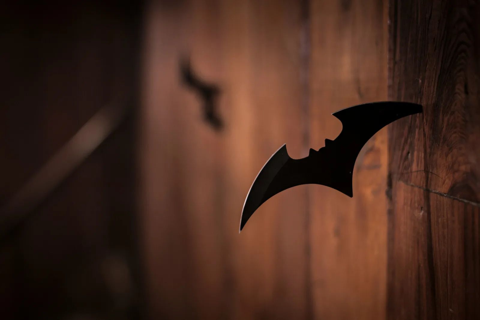 Bats Endure Extreme Heat to Protect Valley Crops