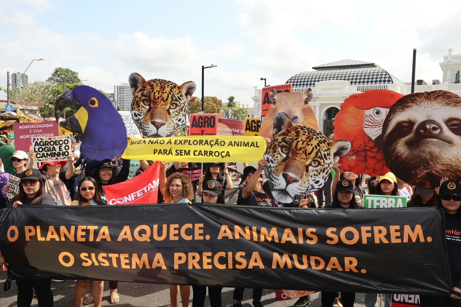 Amazon Deforestation Hits Record Low
