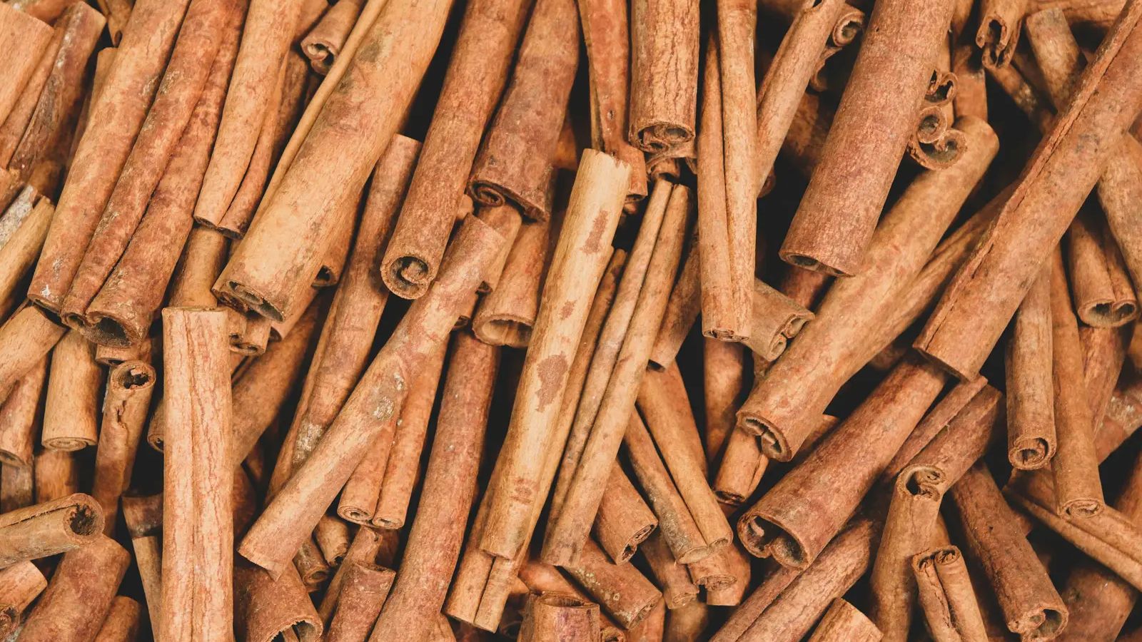 Ant Simple Drawing Why Cinnamon Sticks Won't Stop Antsโand the Cozy Uses That Actually ...