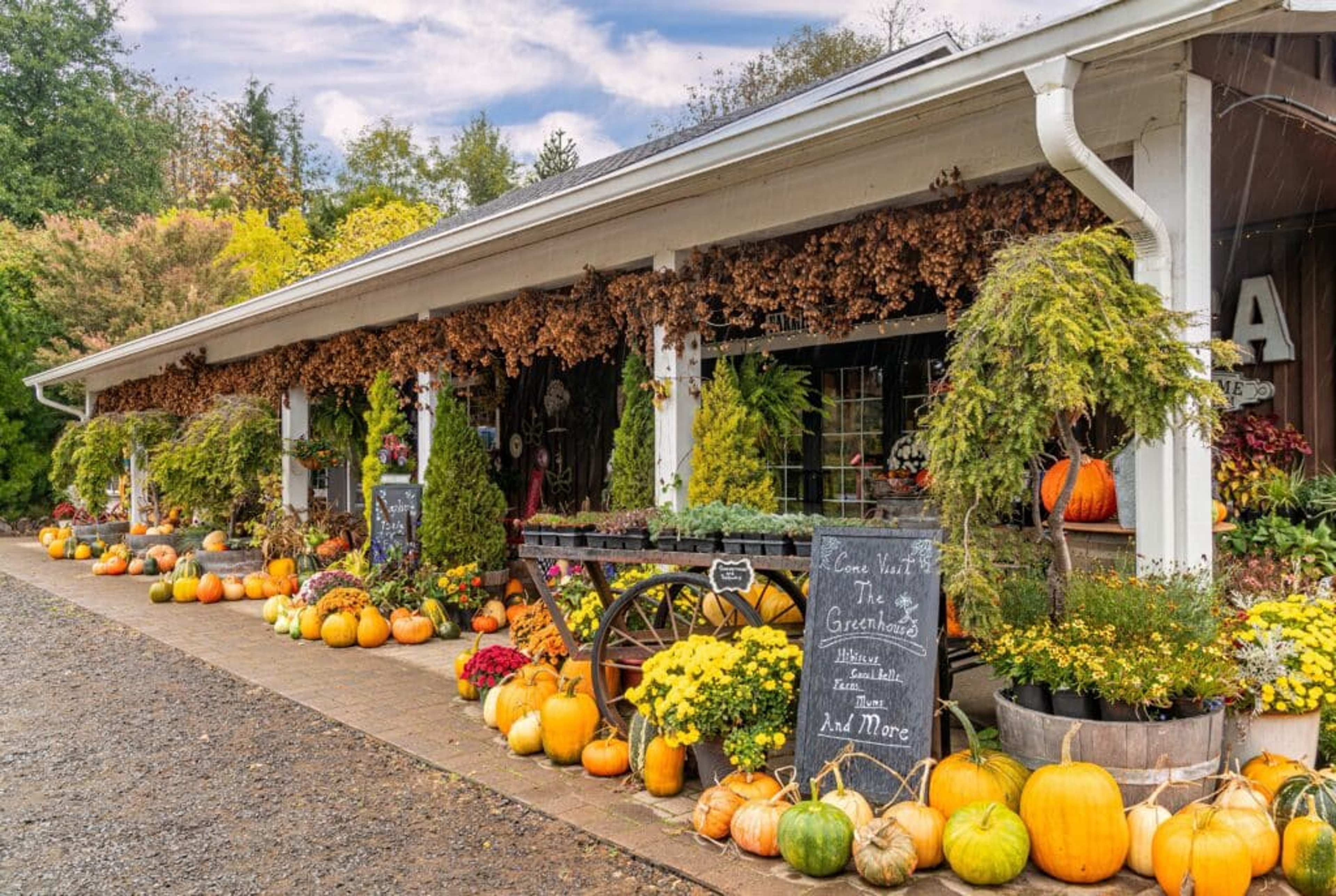It’s Squash Season: The Best Varieties and Recipes for Fall Cooking