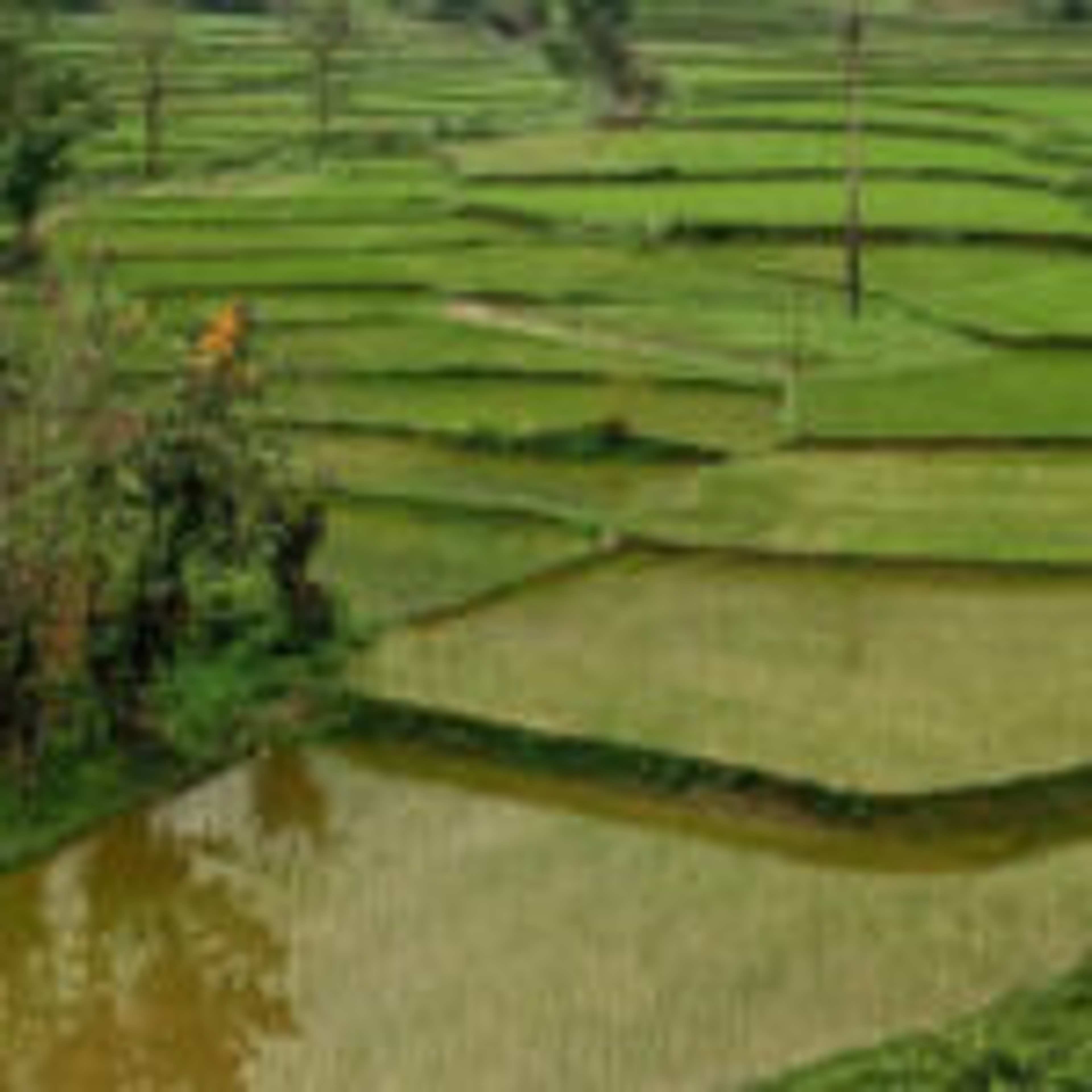 Ha Giang Loop – The Most Scenic Motorbike Journey in Vietnam