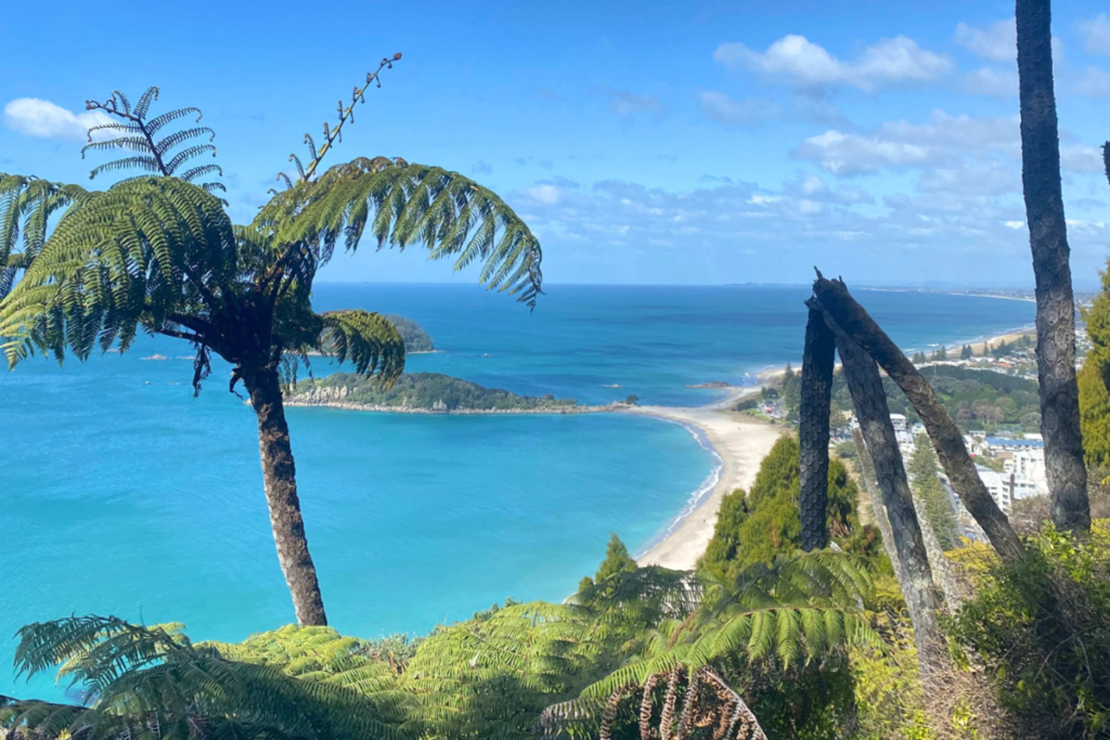 My 7-Day Road Trip Across New Zealand’s North Island