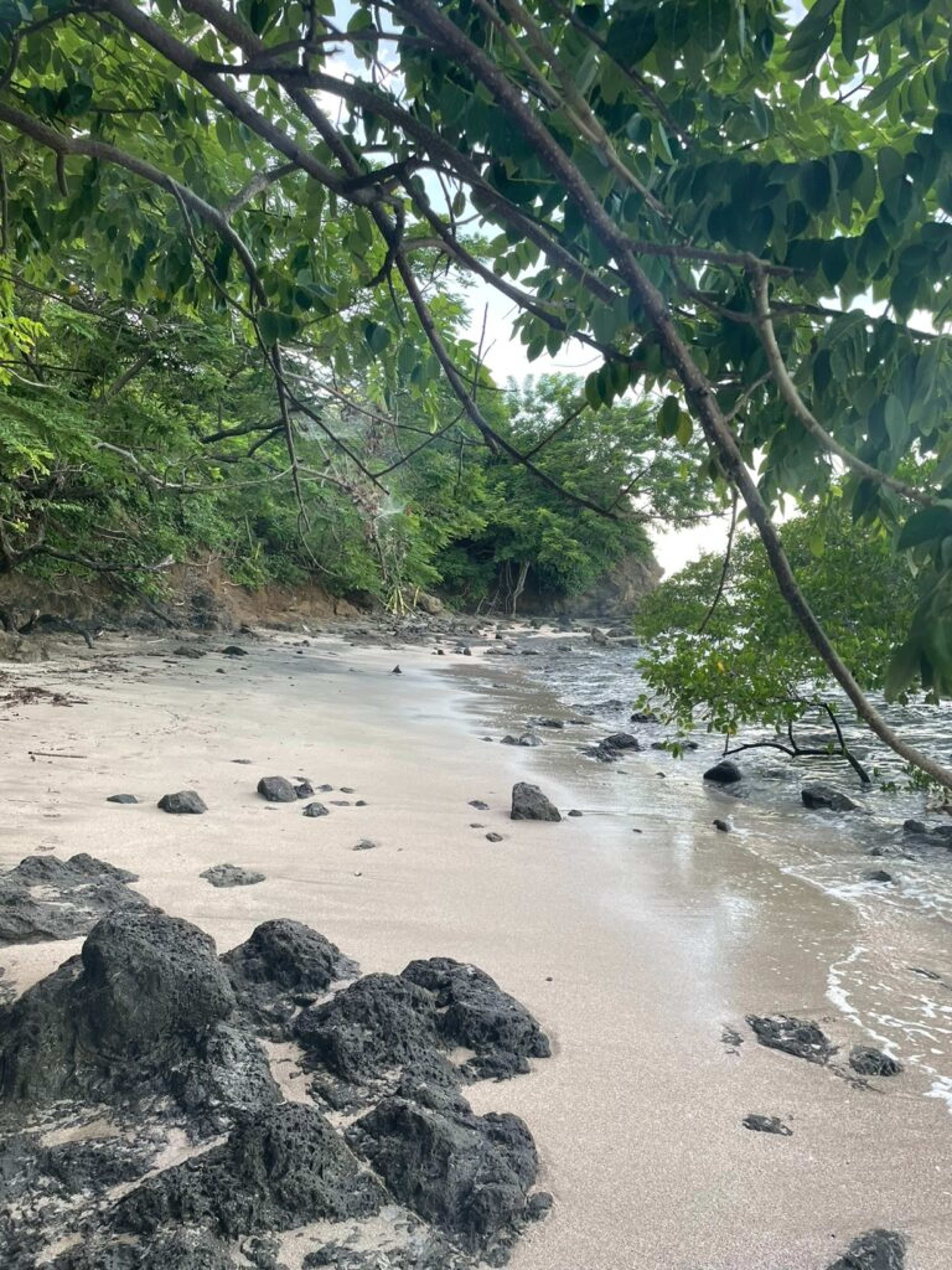 8 Costa Rican National Parks and Refuges Worth the Plane Ticket