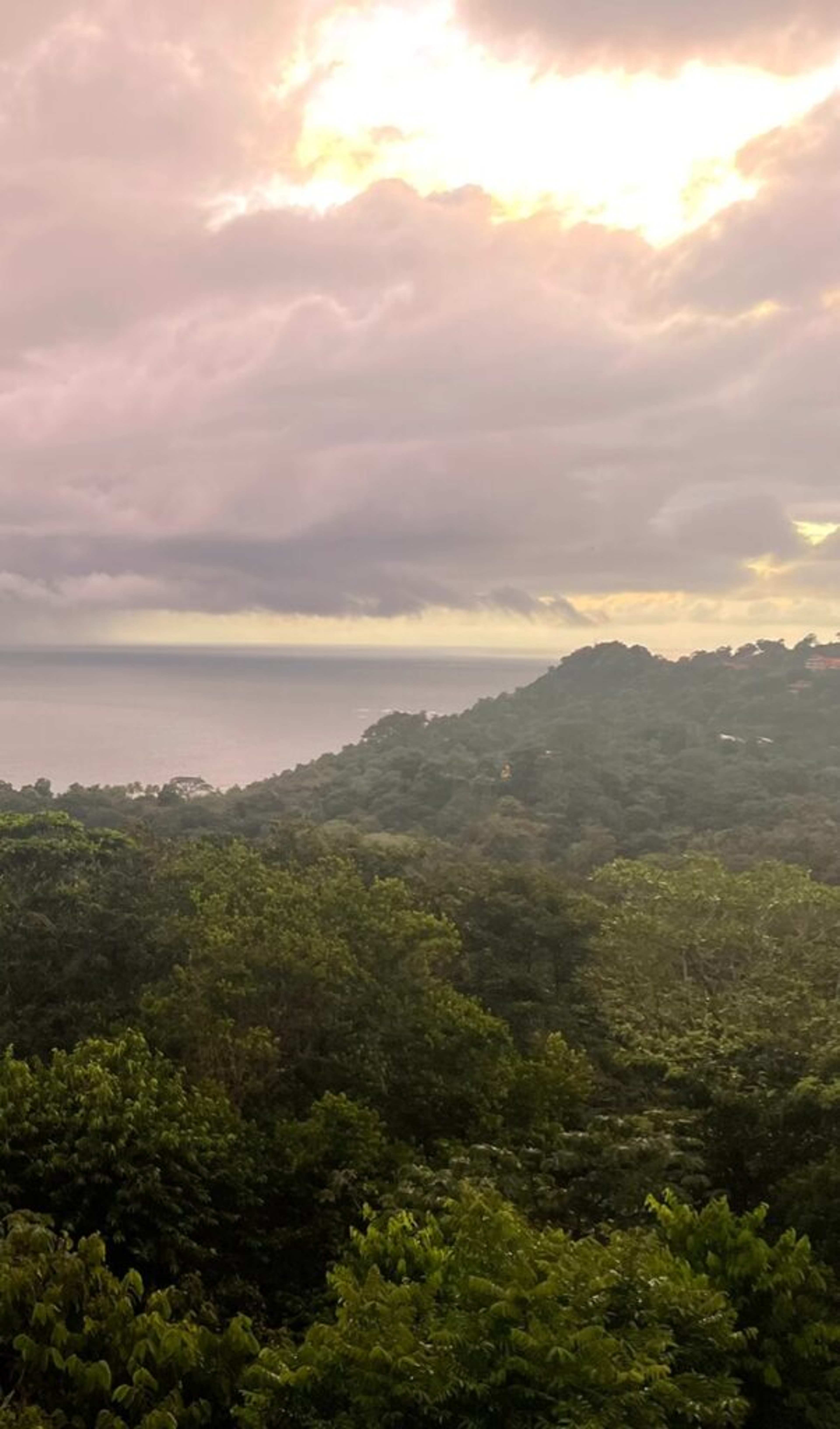 Why Manuel Antonio National Park Is Costa Rica's Premier Destination: 6 Reasons to Visit