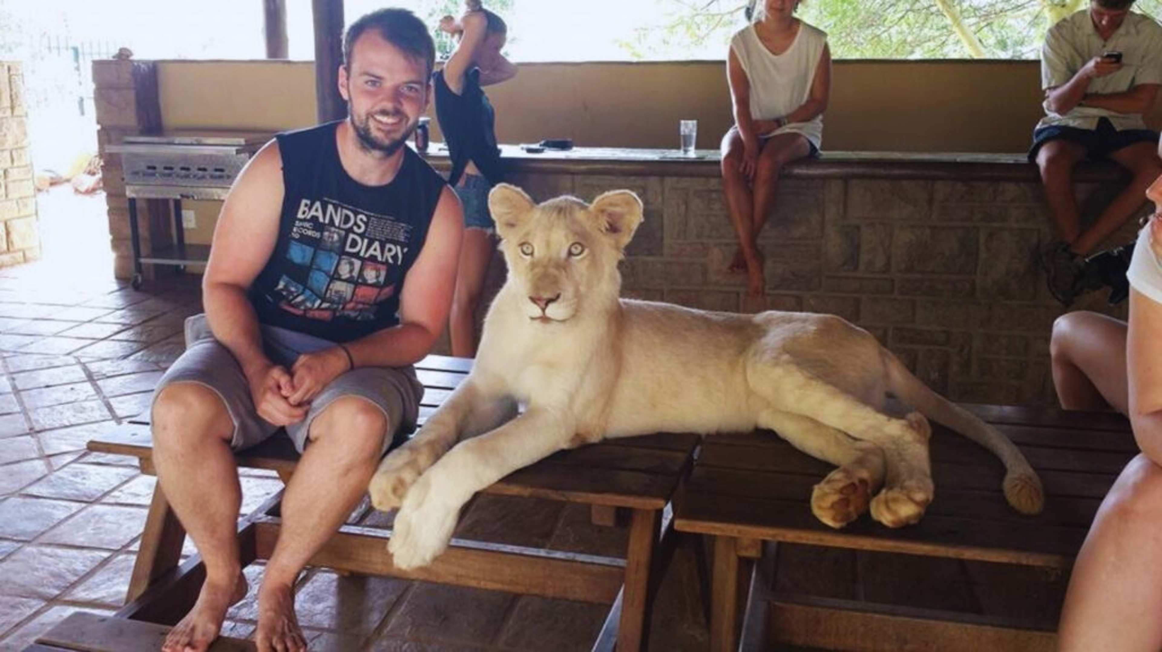 Volunteering in South Africa with Big Cats