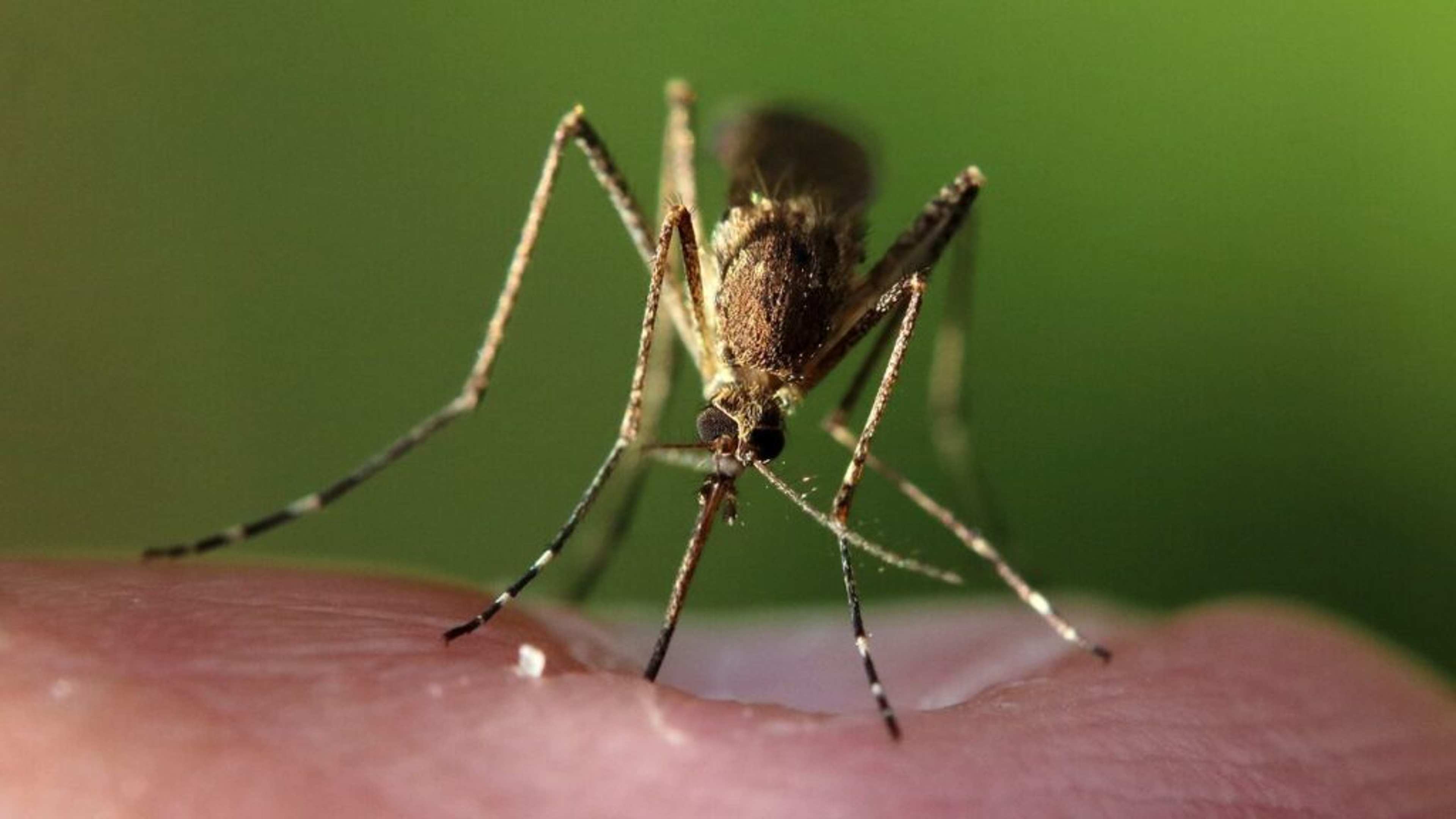 U.S. Issues Travel Alert for These Islands Following Virus Outbreak