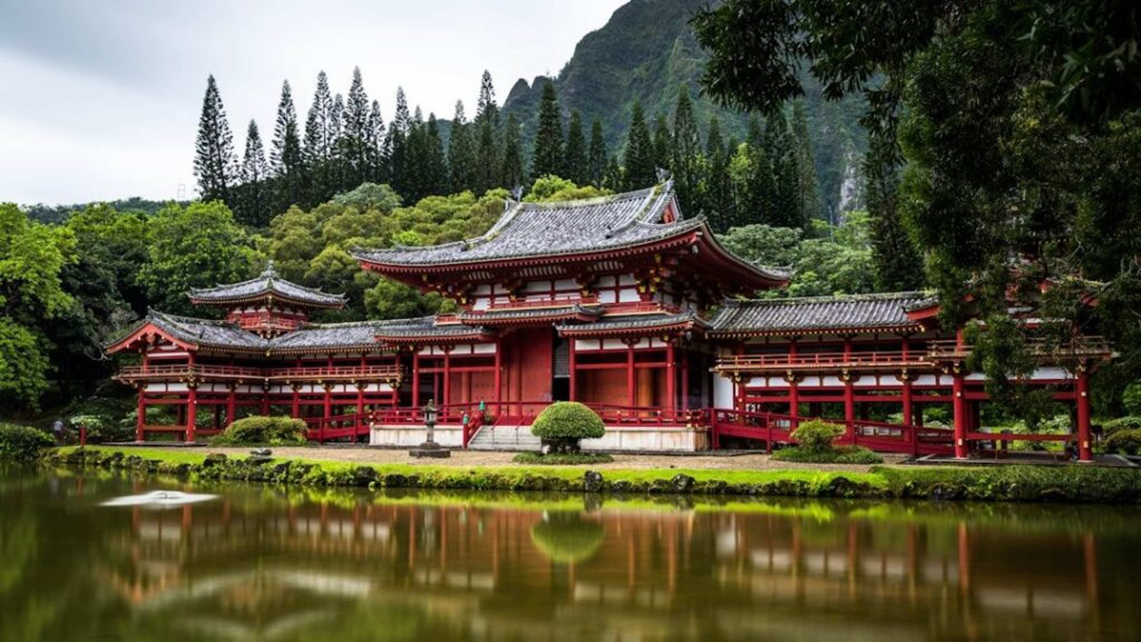 Solo Traveler Alert: 6 Countries Where the "Friendly Local" Is Almost Always a Scam Artist