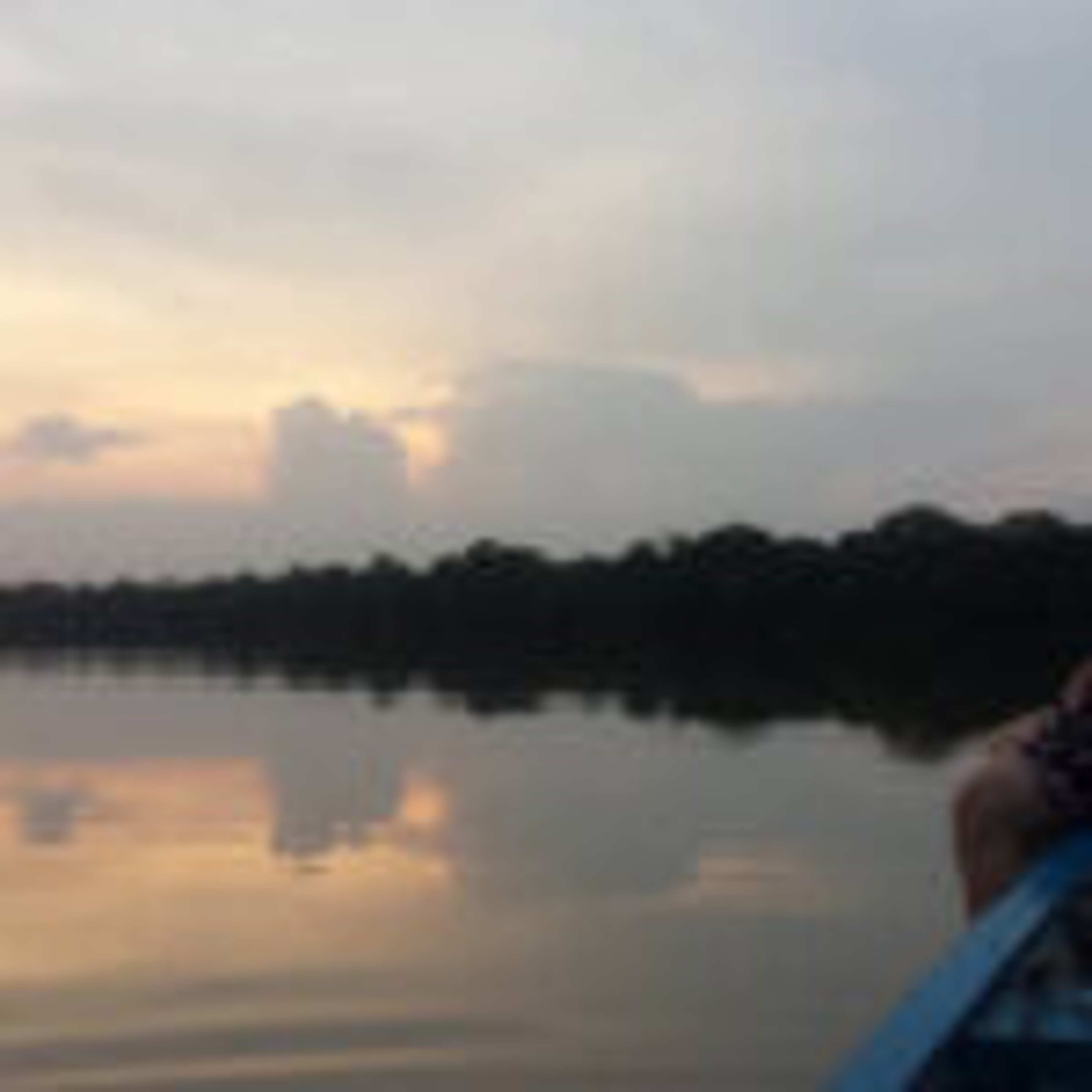 Spending Time in the Amazon Jungle: What No One Tells You Before You Go