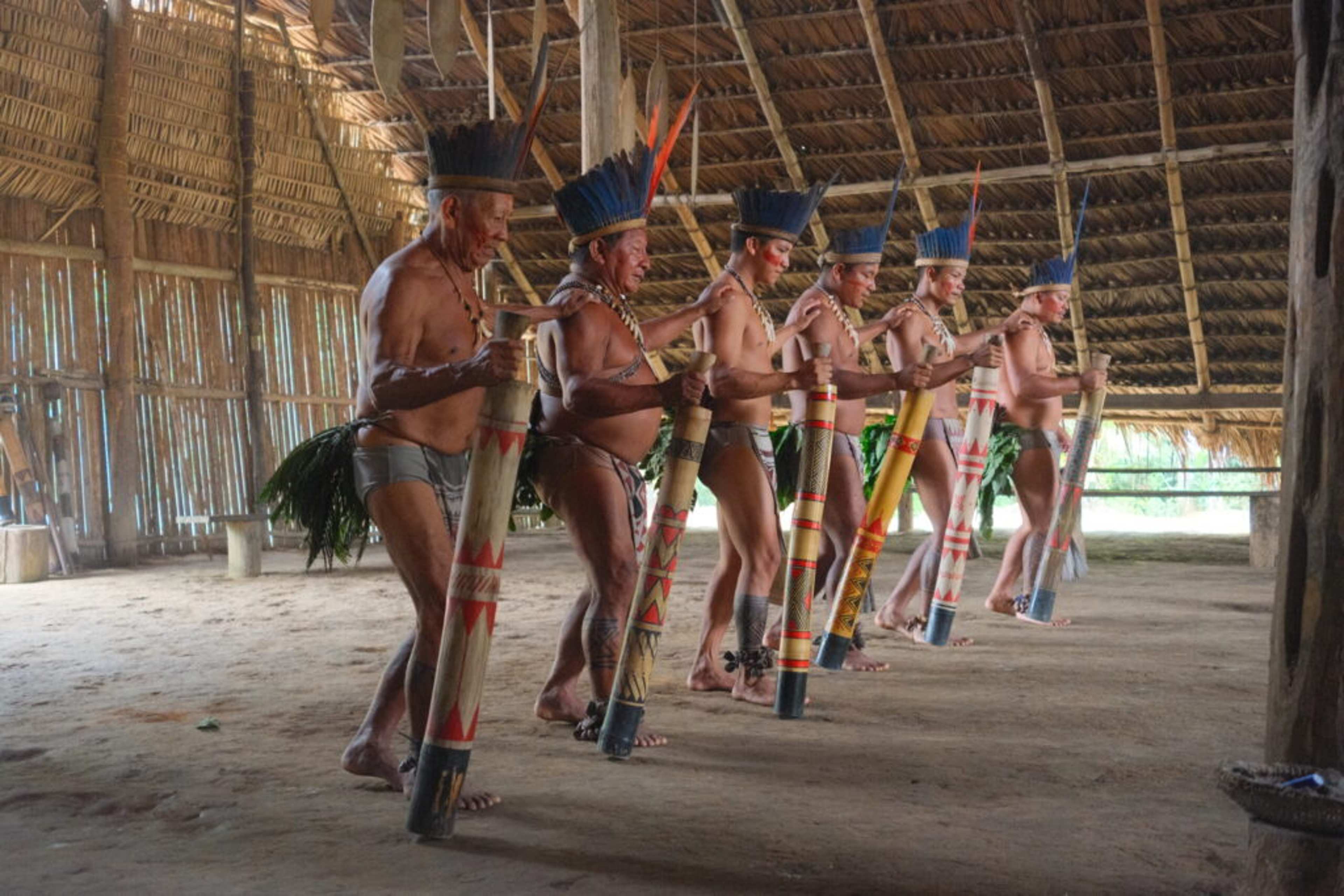 Pink Dolphins, Indigenous Tribes, and Giant Fish – Exploring the Amazon River in Manaus