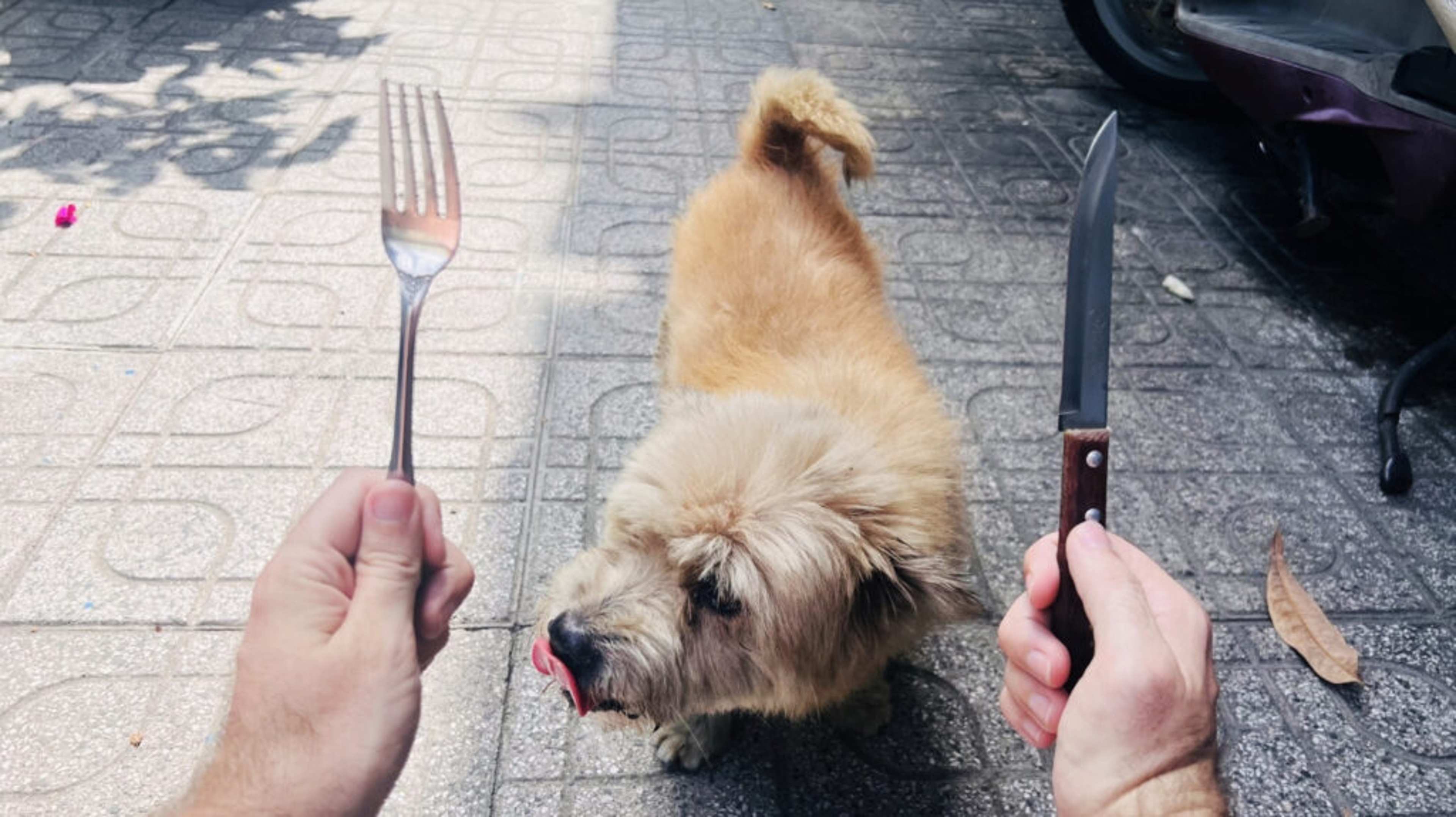 The Vietnamese Dog Meat Trade