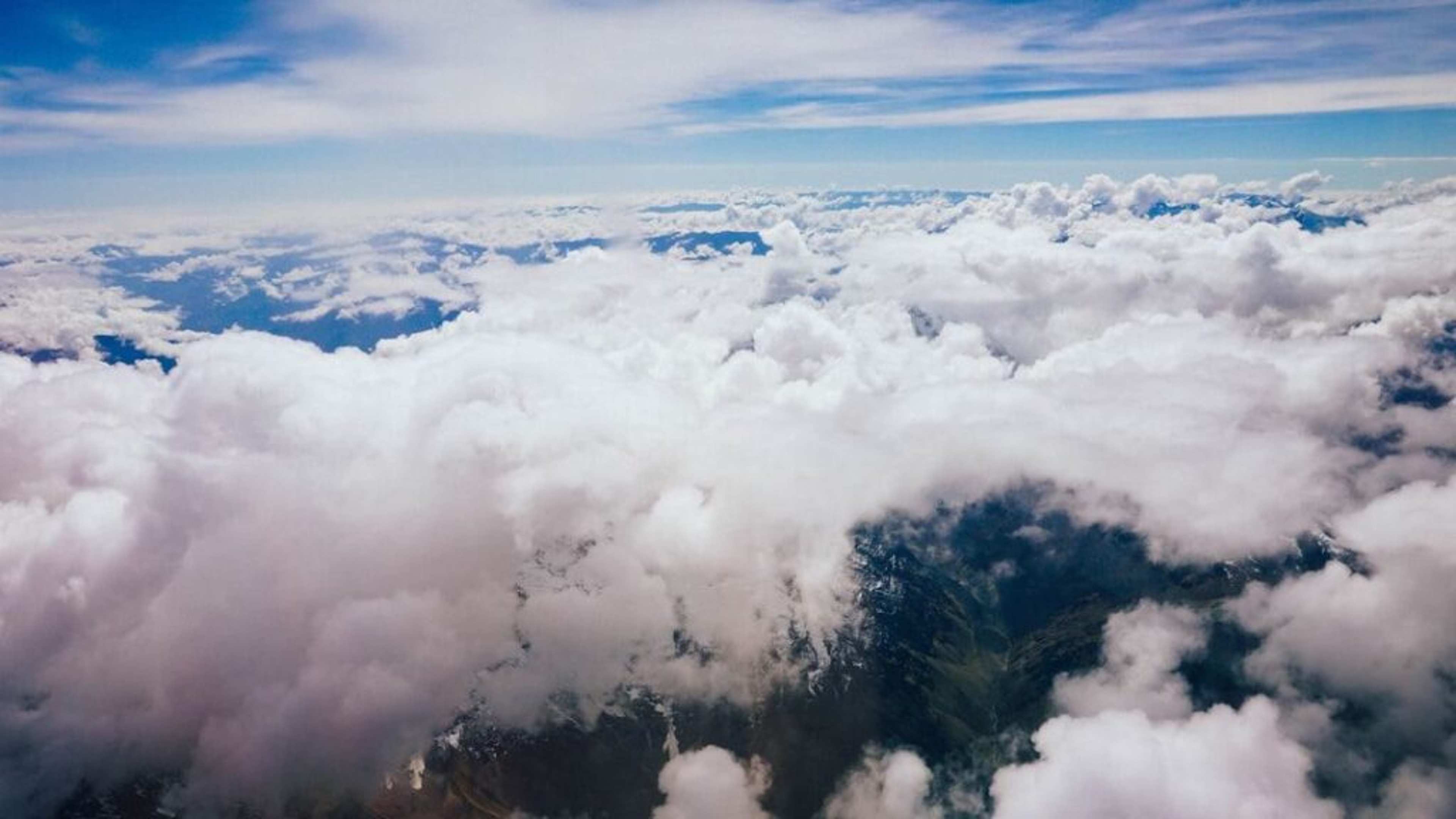 Why Flight Attendants Never Drink Coffee on a Plane: The Gross Truth