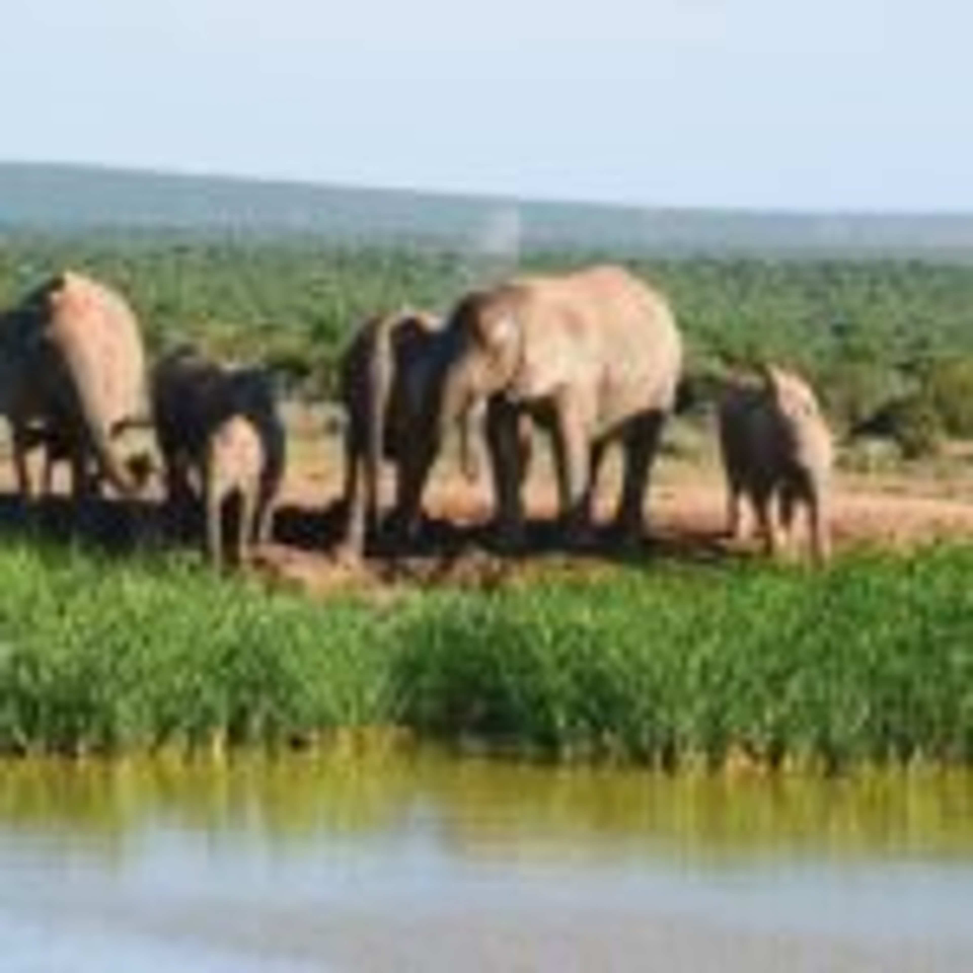 I Drove a Rental Car on a Self-Drive Safari in South Africa. This Is How It Went.