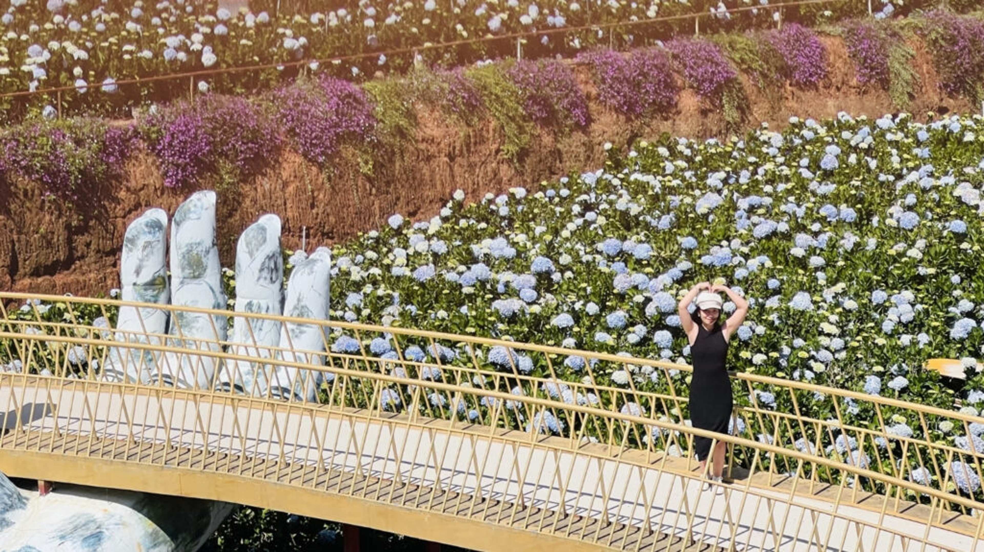 Garden Hydrangea Đà Lạt: Fields of Blue and a Perfect Photo Stop