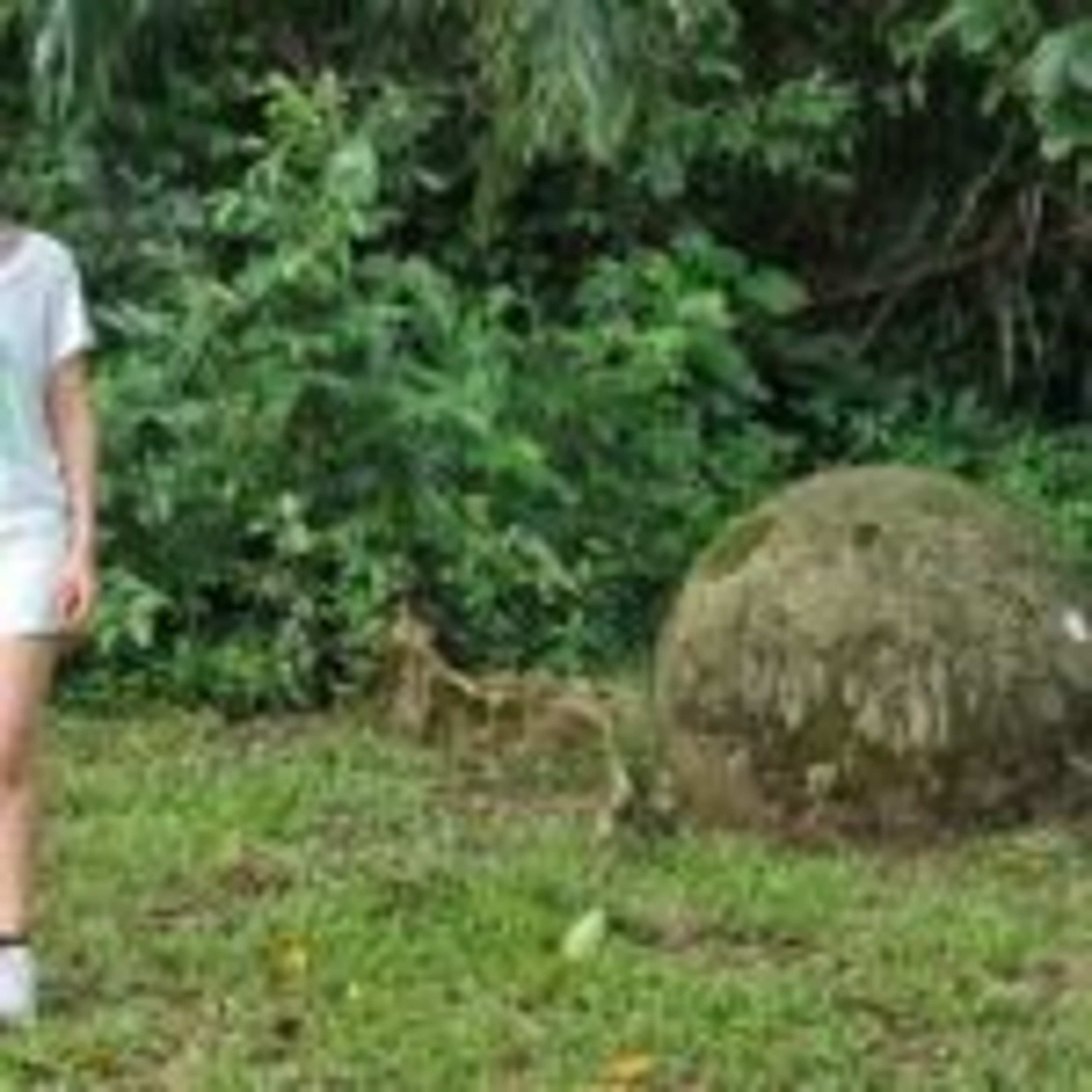 Facing the Perfect Mystery: Costa Rica’s Stone Spheres
