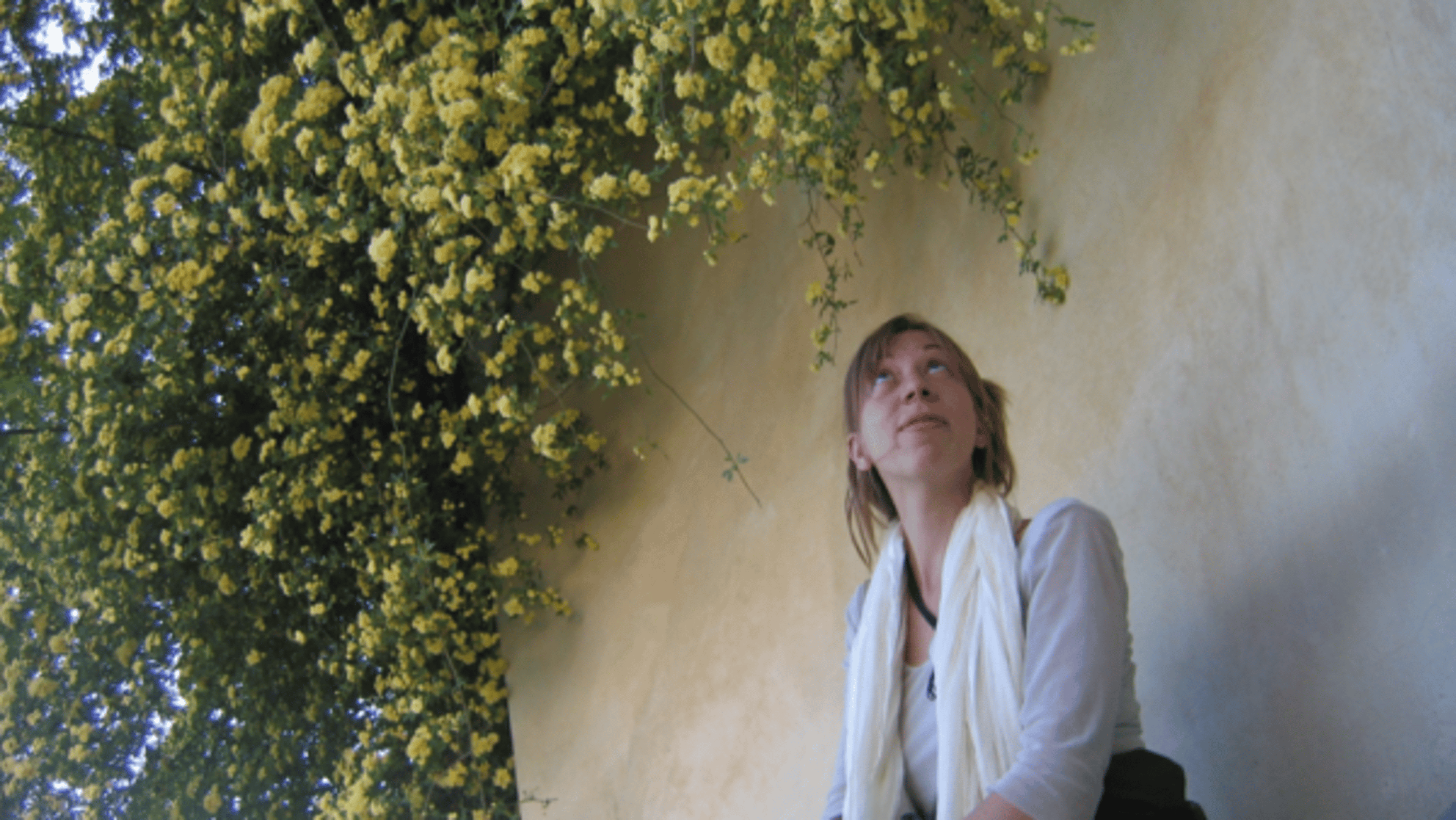 Florence in Spring: Light, Stone, and the Return of Color