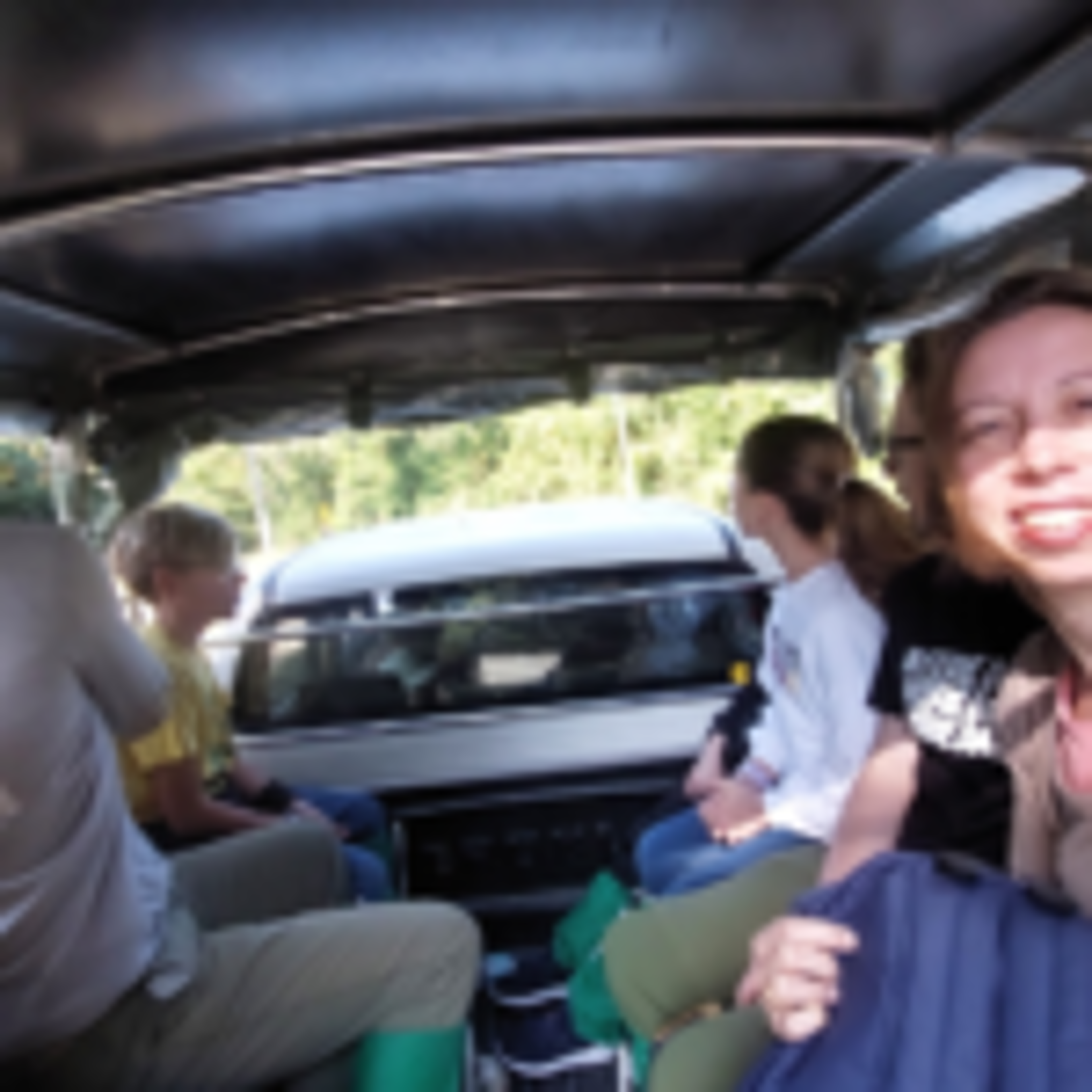Pickup Trucks, a Guide and Luck: A Day (and a Night) in Khao Yai National Park