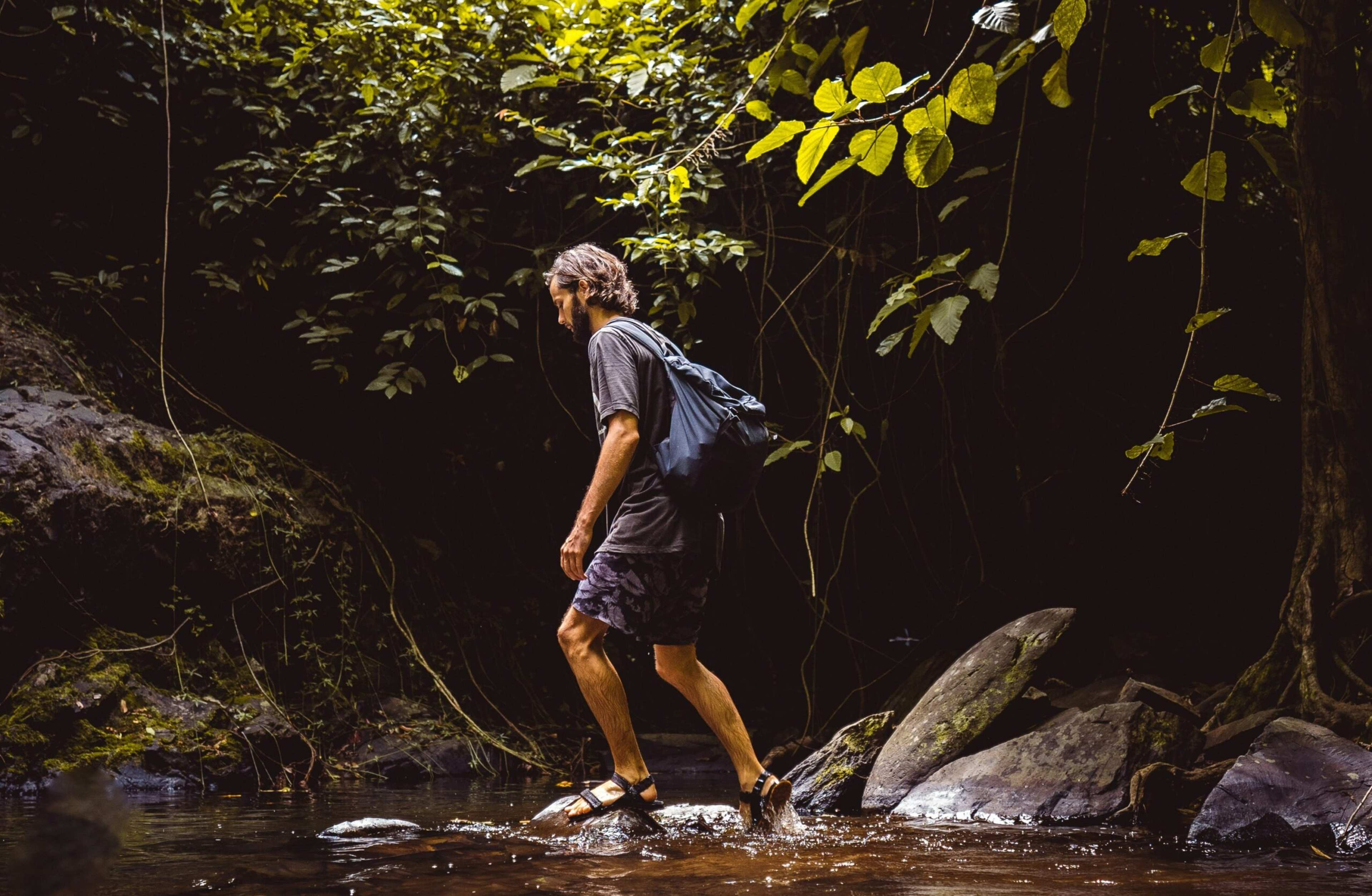 If You Feel a Sense of Relief in "Raw, Untamed" Nature, It's Because the Unpolished Chaos of the Wilderness Matches the Internal State You're Finally Allowed to Express
