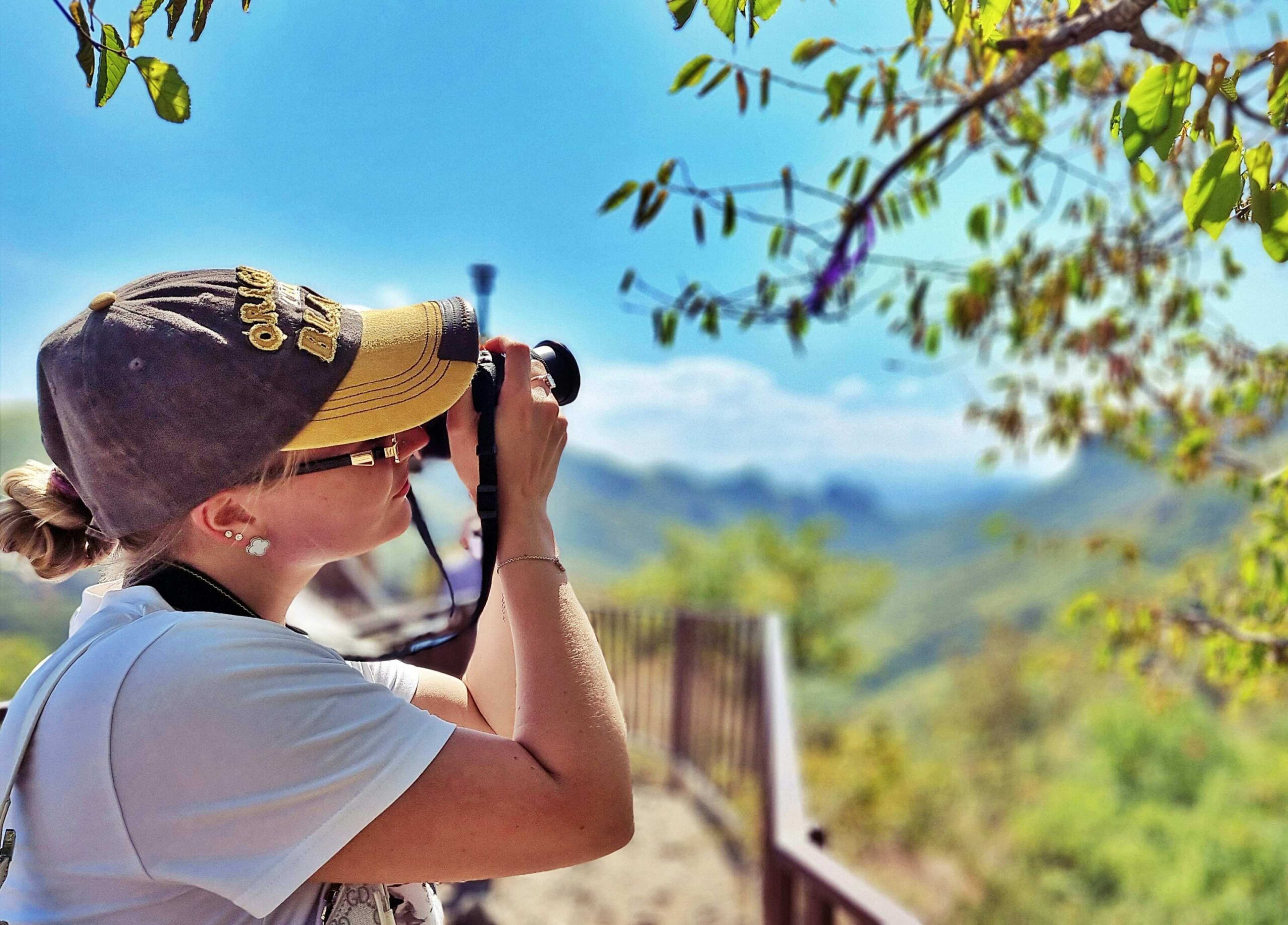 Psychology Says "Hushed Hobbies" Like Birdwatching or Foraging Are the Most Effective Way to Repair a Brain That Has Been Fractured by a Decade of 10-Second Video Clips