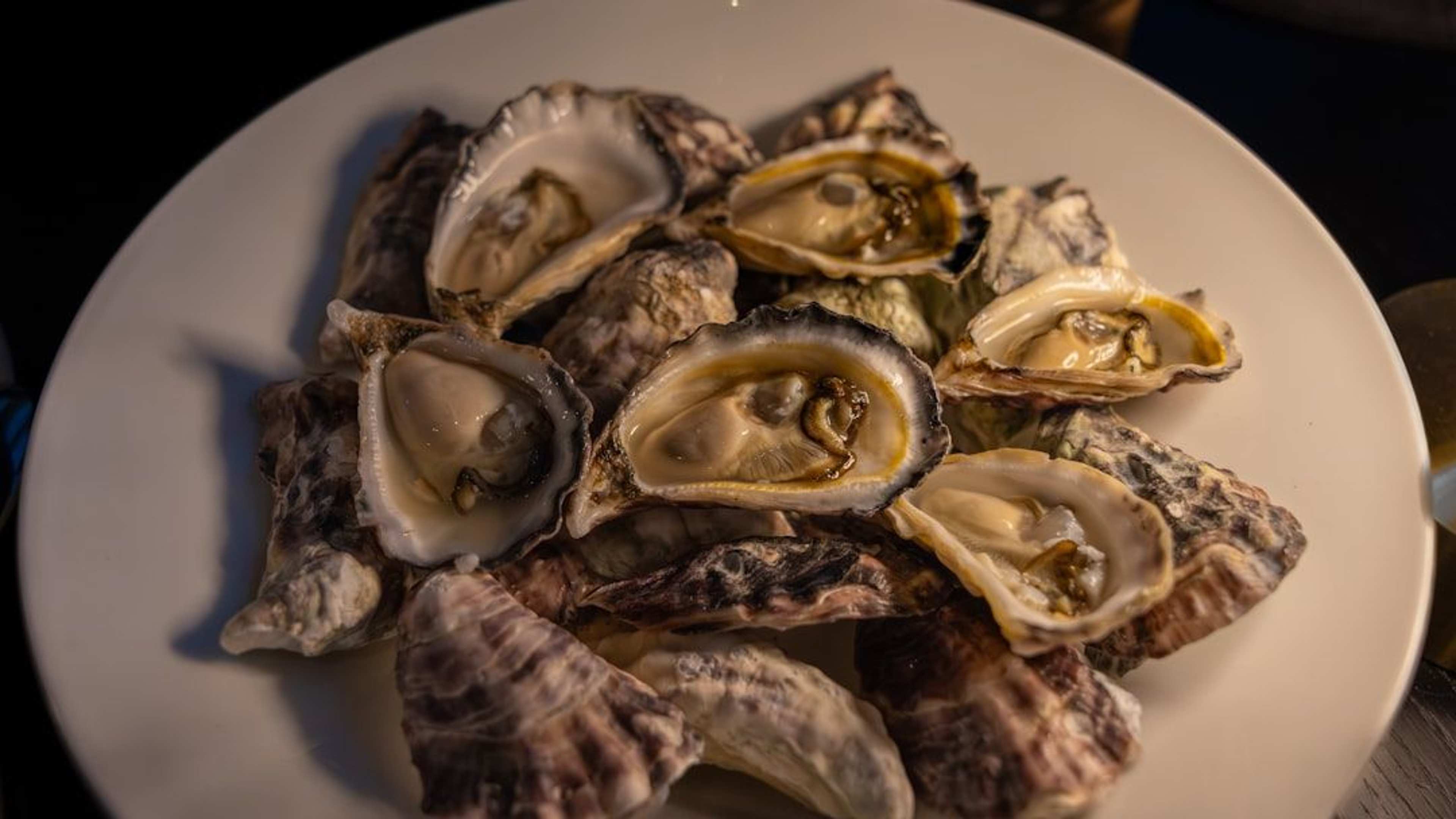13 Foods Experienced Cruisers Never Order On Board