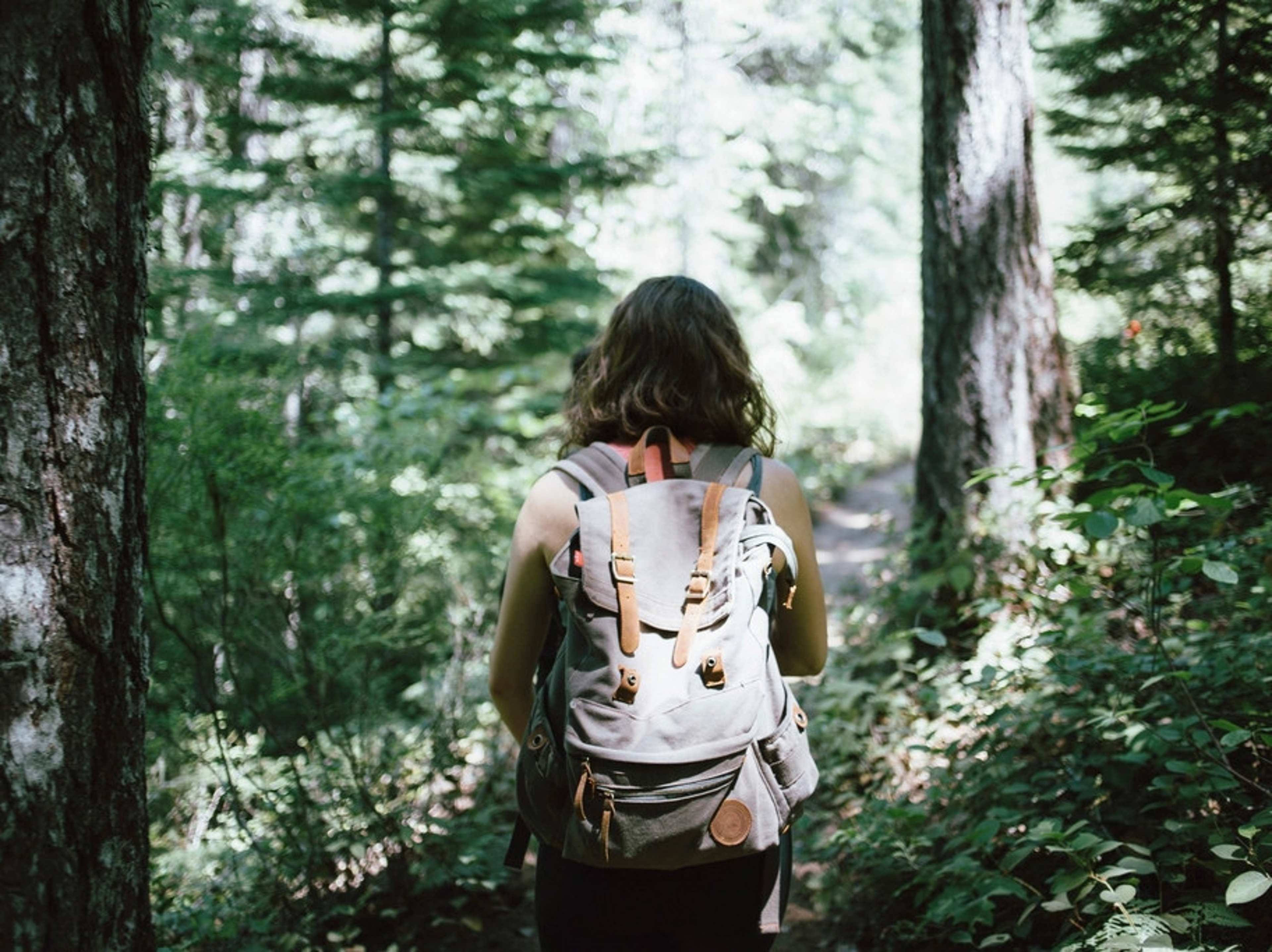 The Reason You Prefer "Analog Activities" Like Foraging or Pottery on Vacation Is Rooted in This Specific Hunger for a Reality That Can't Be Deleted