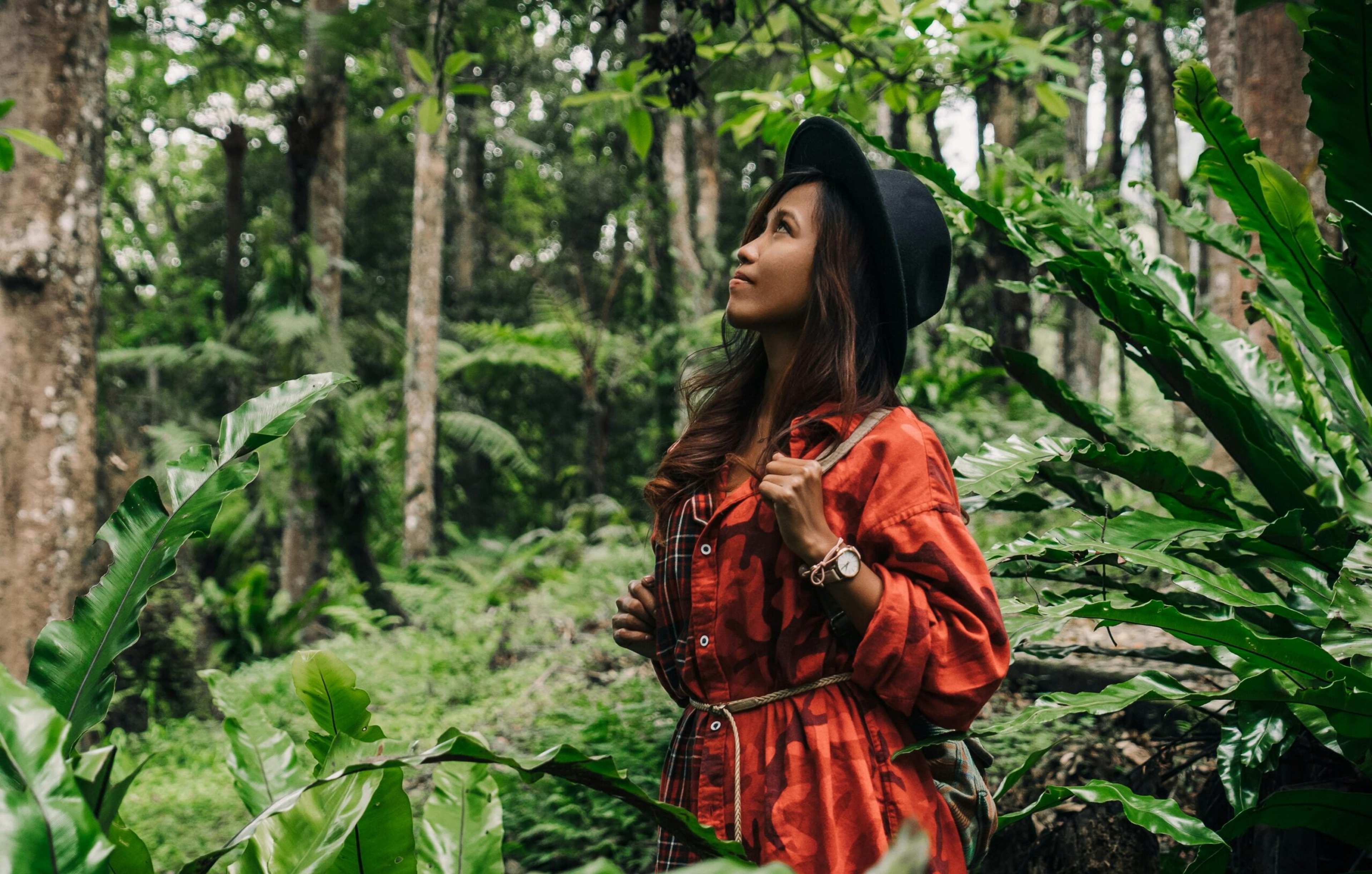 Psychology Says People Who Seek Out "Ancient Forests" Are Often Trying to Silence a Nervous System That Was Over-Stimulated by Domestic Noise Early On