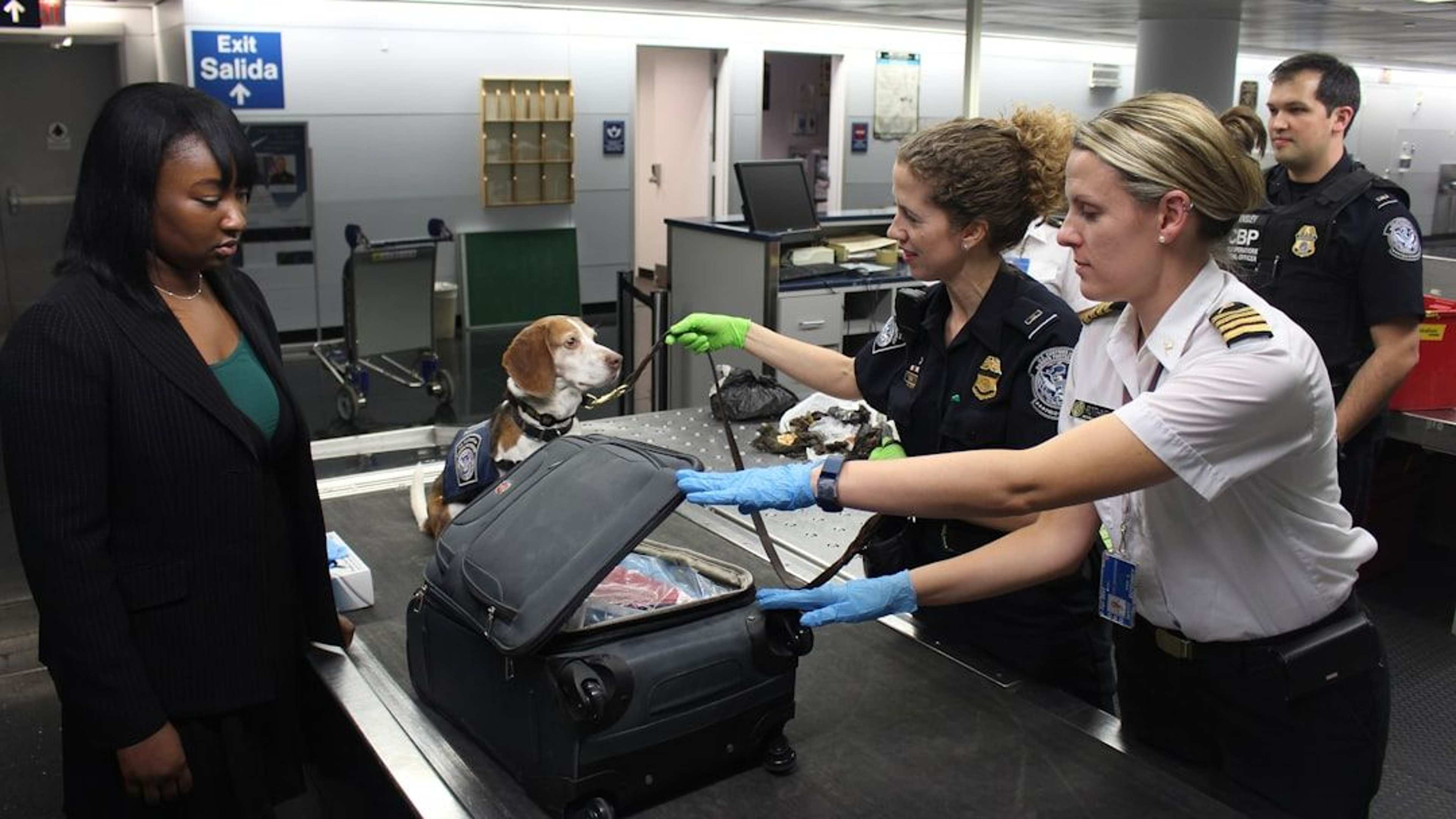 Airline Supervisors Reveal 8 Requests They May Approve at the Desk