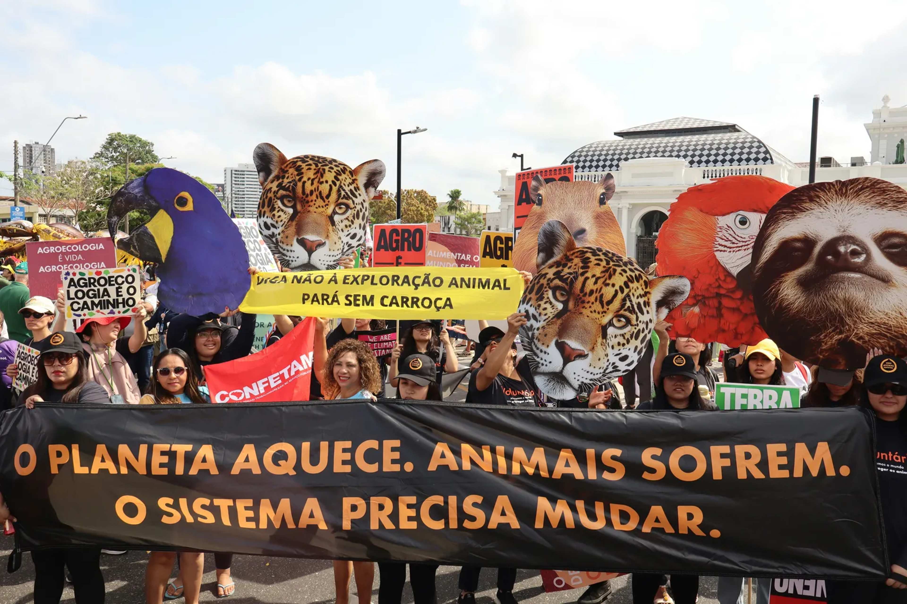 Amazon Deforestation in Brazil Reaches 10-Year Low in First Half of 2026