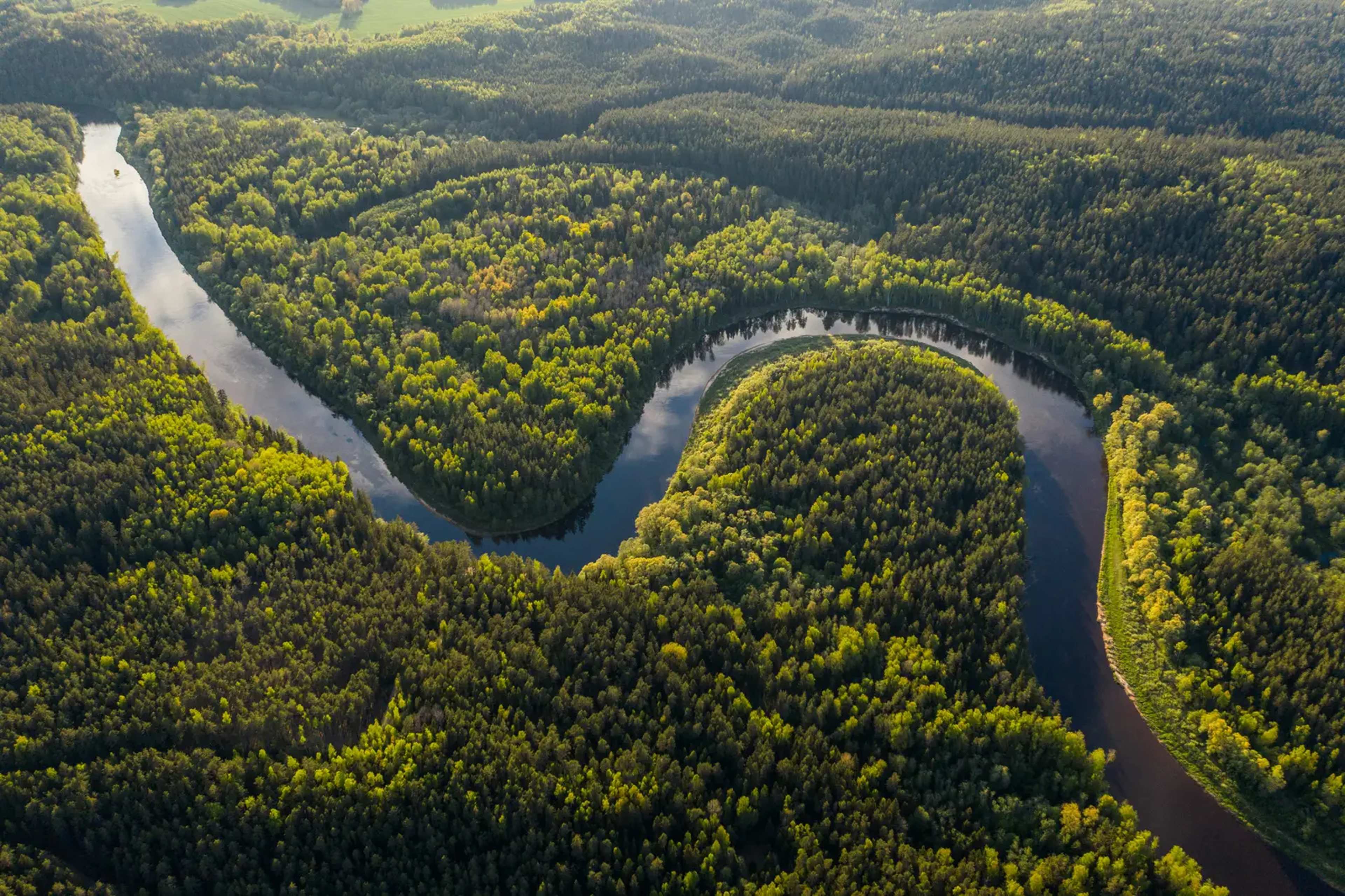 Amazon's Ancient Dark Earth Offers Fresh Hope for Restoring Degraded Forests