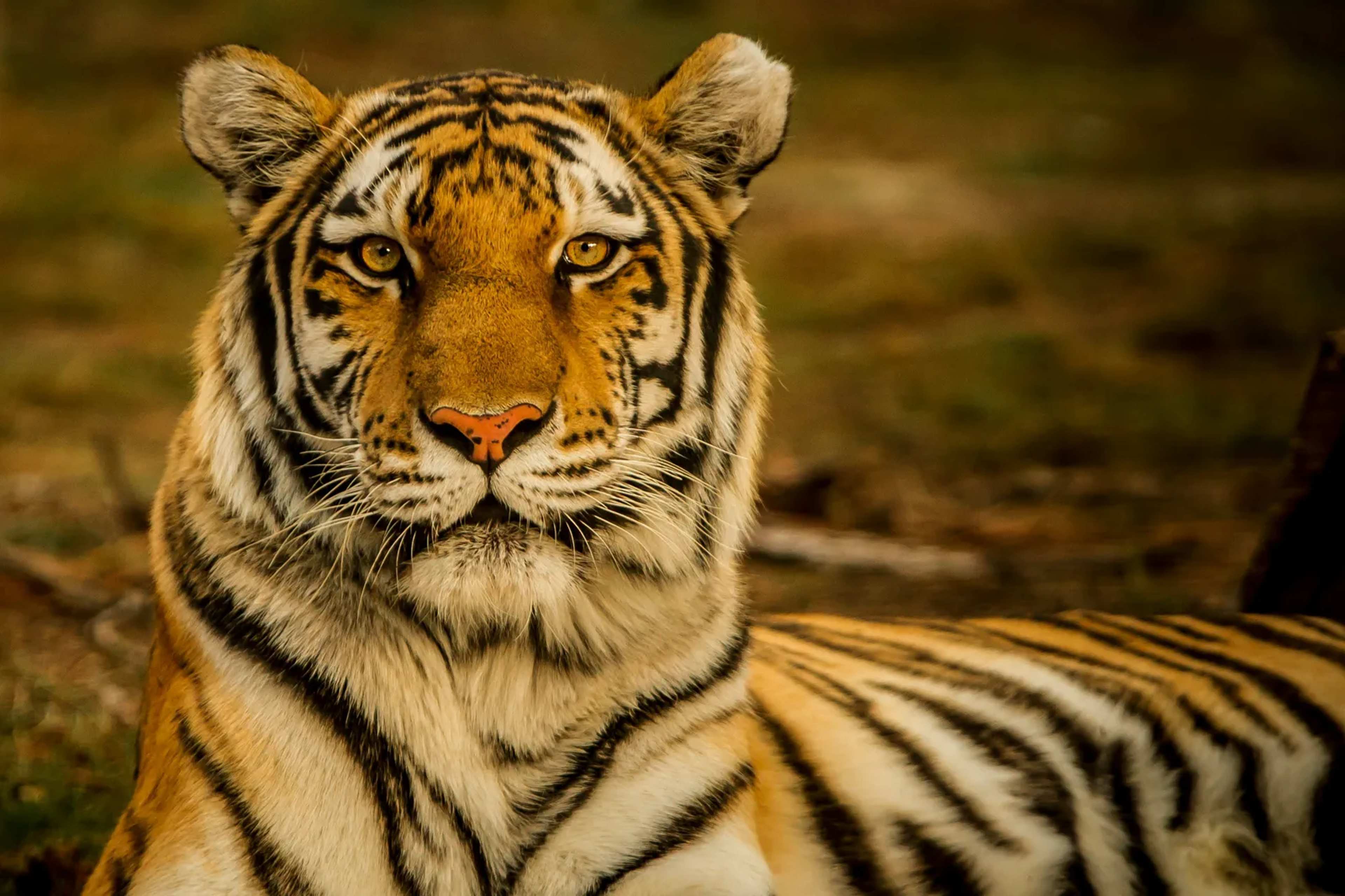 U.S. Narrows Harm Definition for Endangered Species