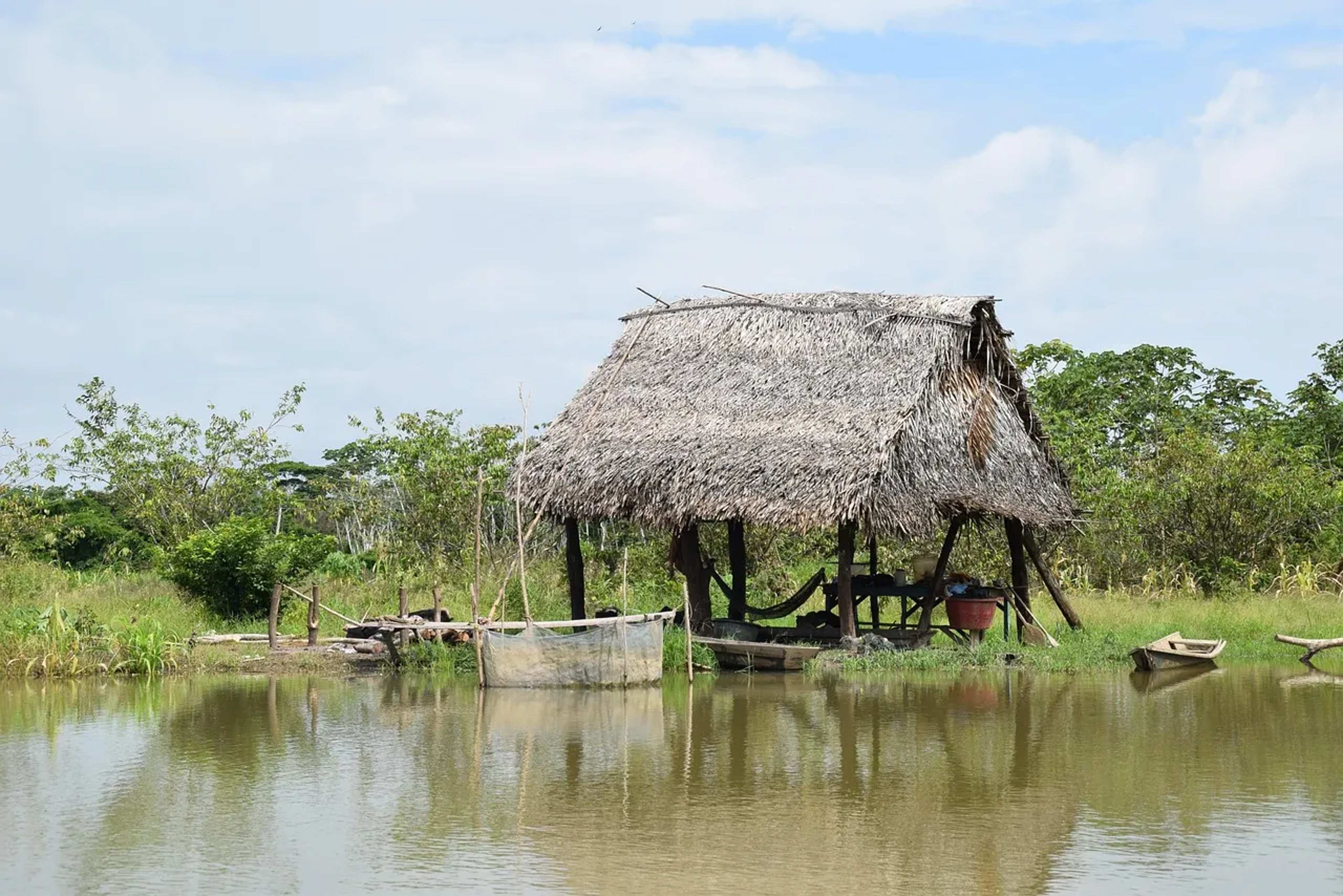 Suriname Orders Eviction of Mennonite Amazon Settlers