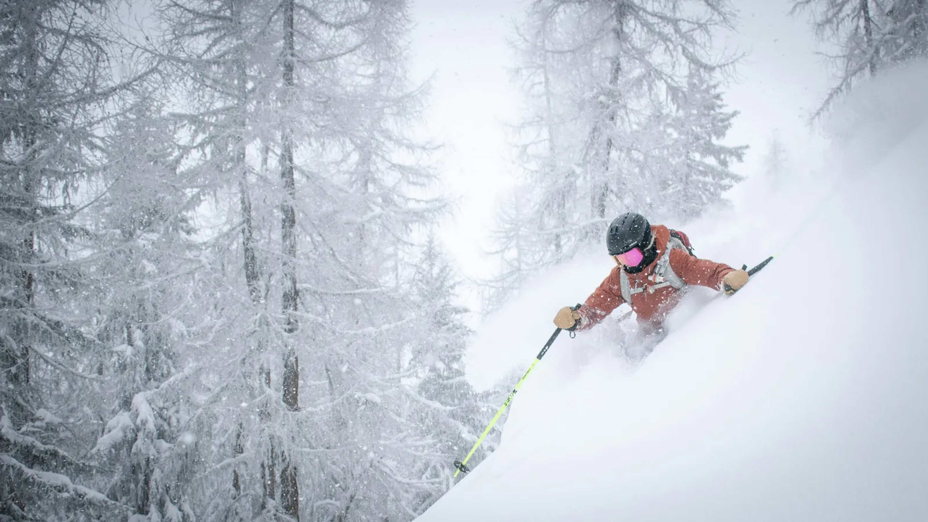 David Page Defended Backcountry Ski Trail Access