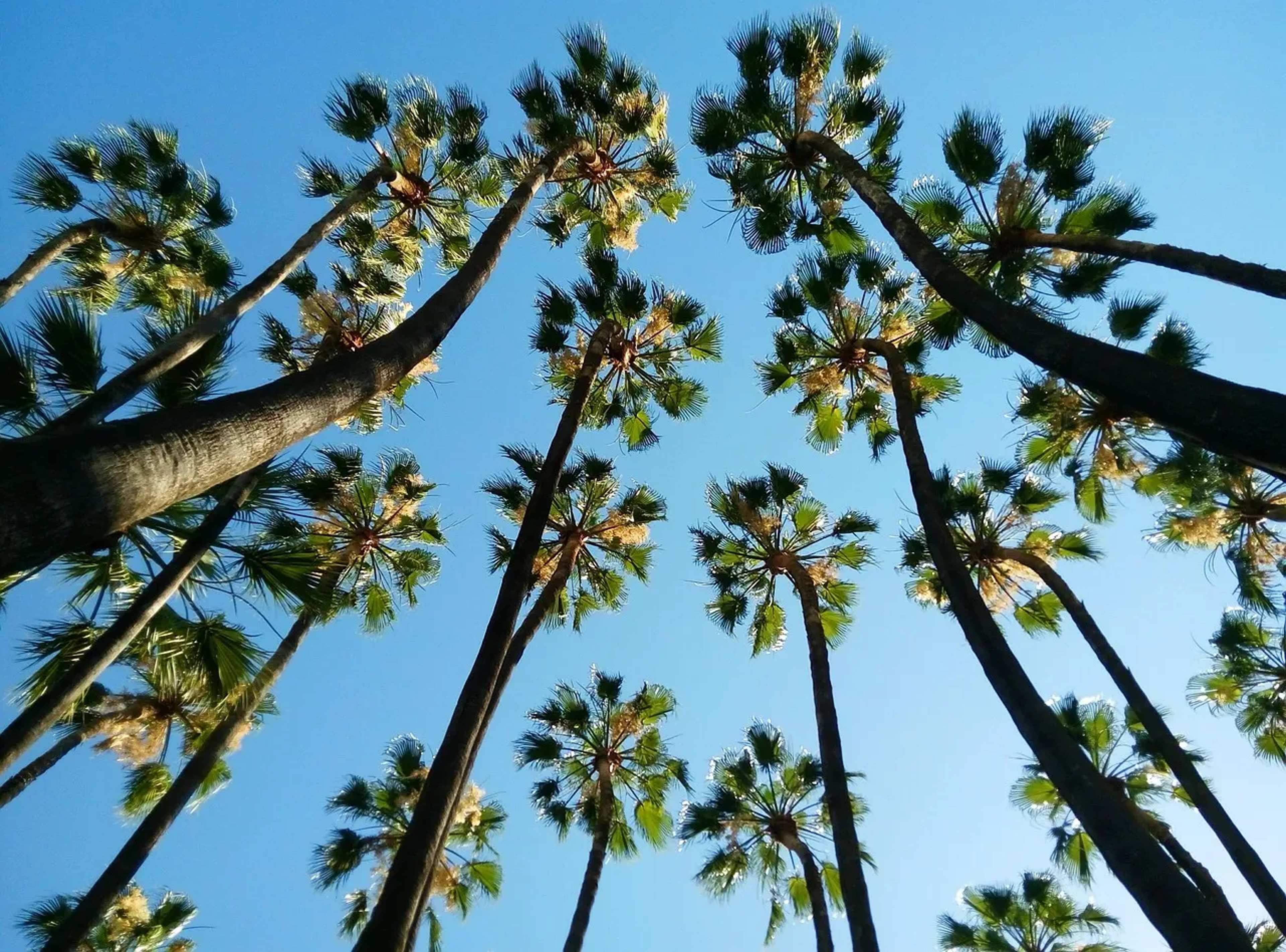 Costa del Sol Isn't One Destination—Here's the Town That Actually Matches Your Vacation Style