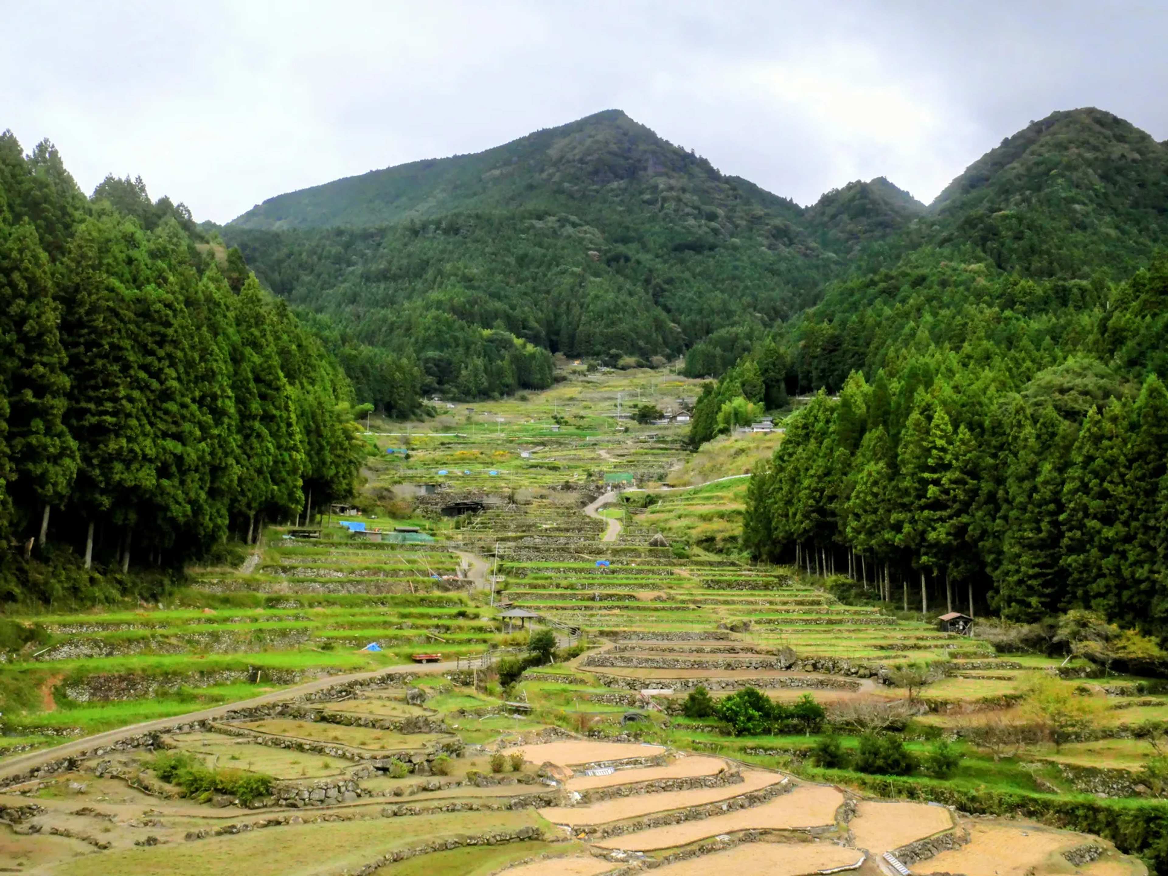 Tokyo's Hidden Satoyama: A Centuries-Old Rural Landscape Preserved in the Western Suburbs