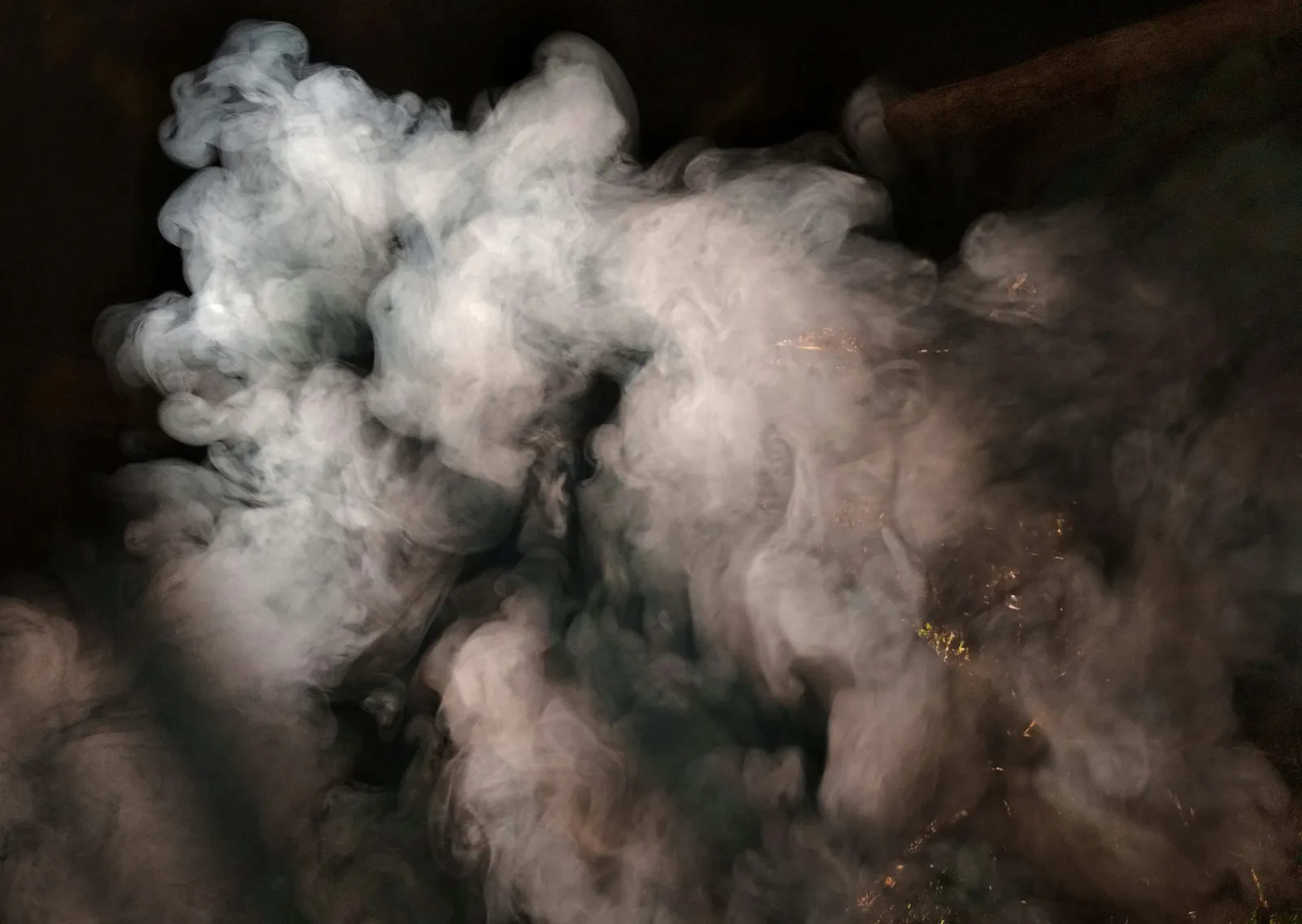Wildfire Smoke's Hidden Summer Health Risks for Travelers