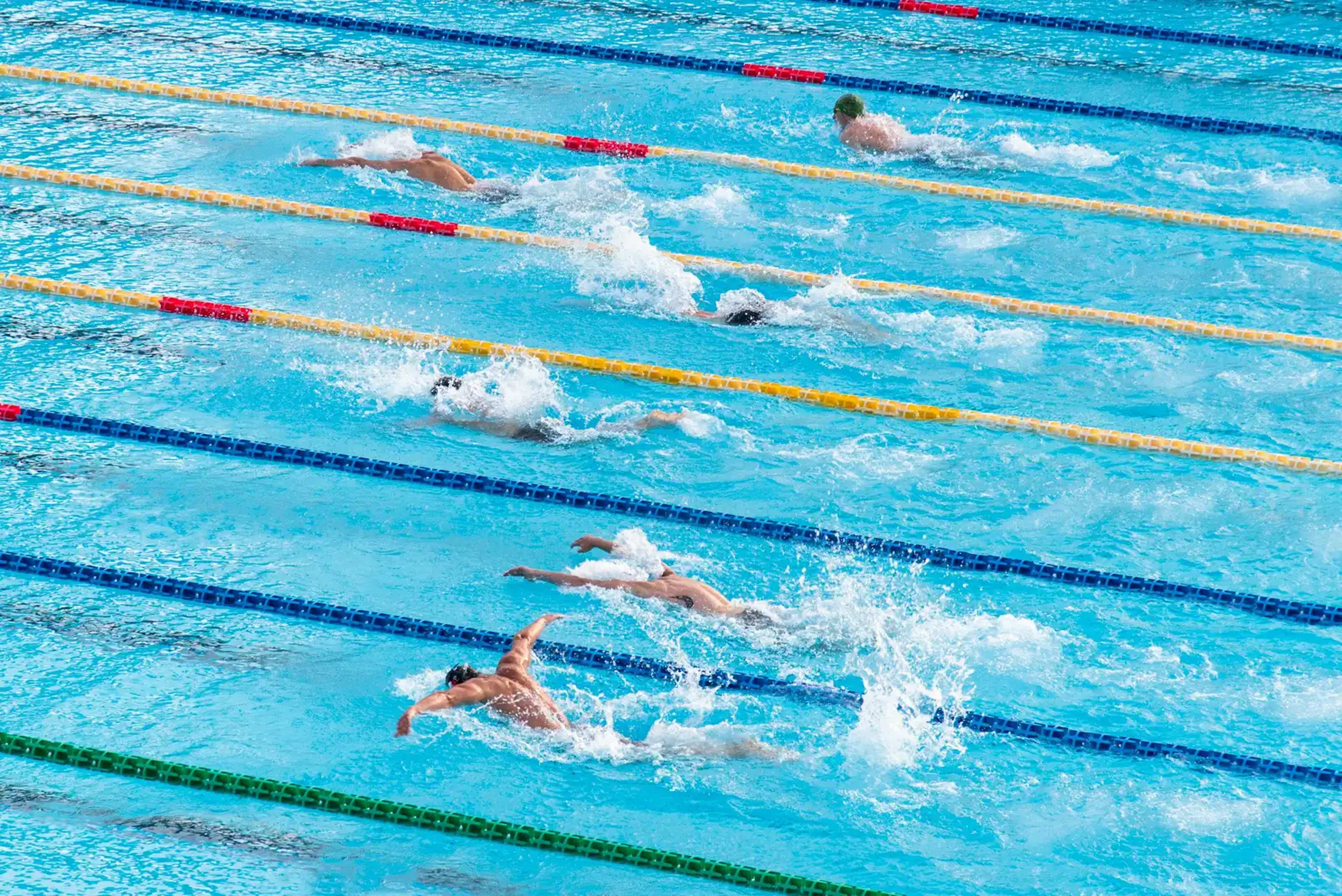 California Swim Map Misses Algal Bloom Warnings