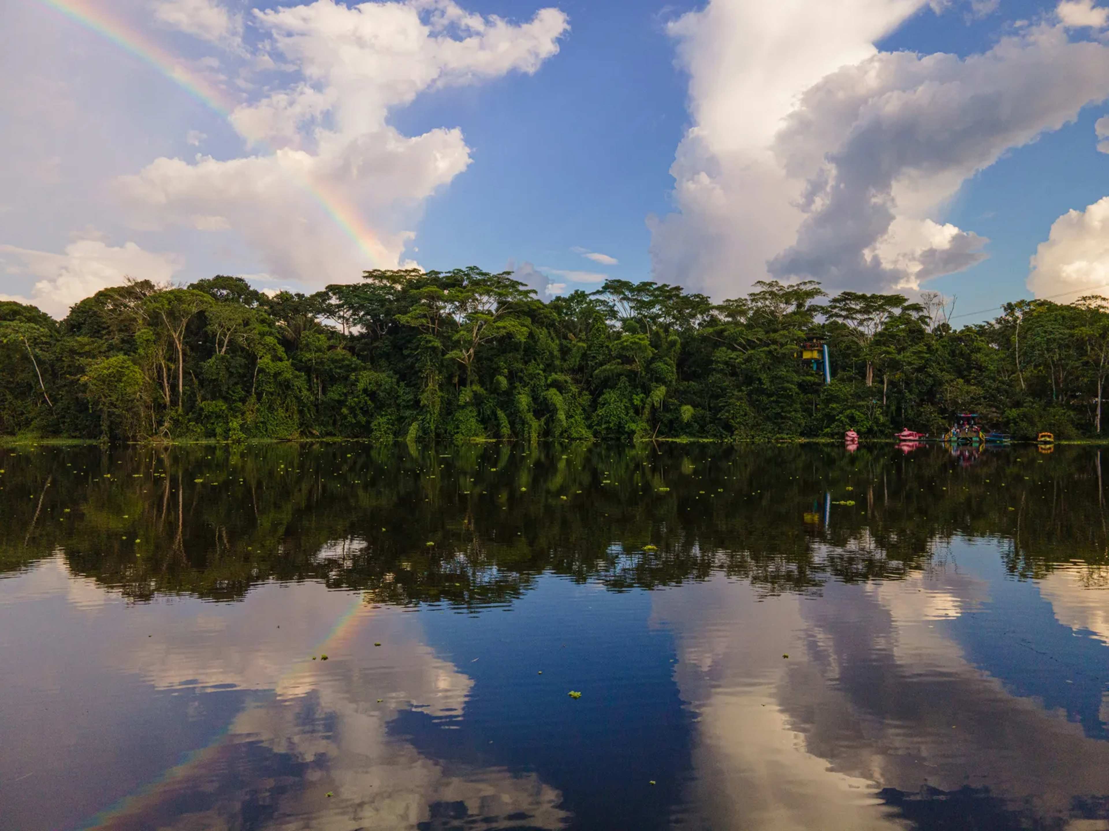 Land Records Expose Mennonite Clearing in Belize Corridor