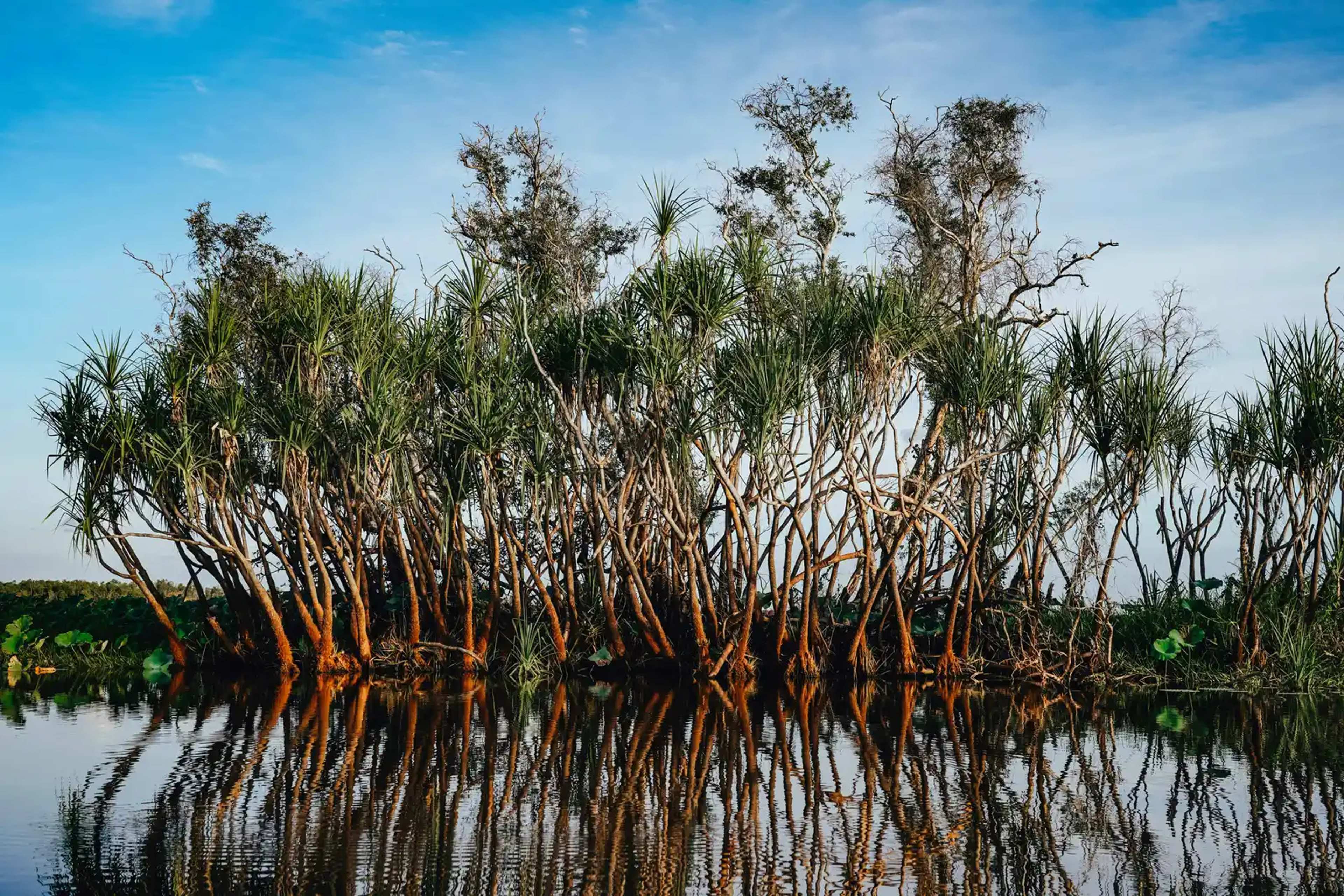 Kakadu: The Outback Like Nowhere Else