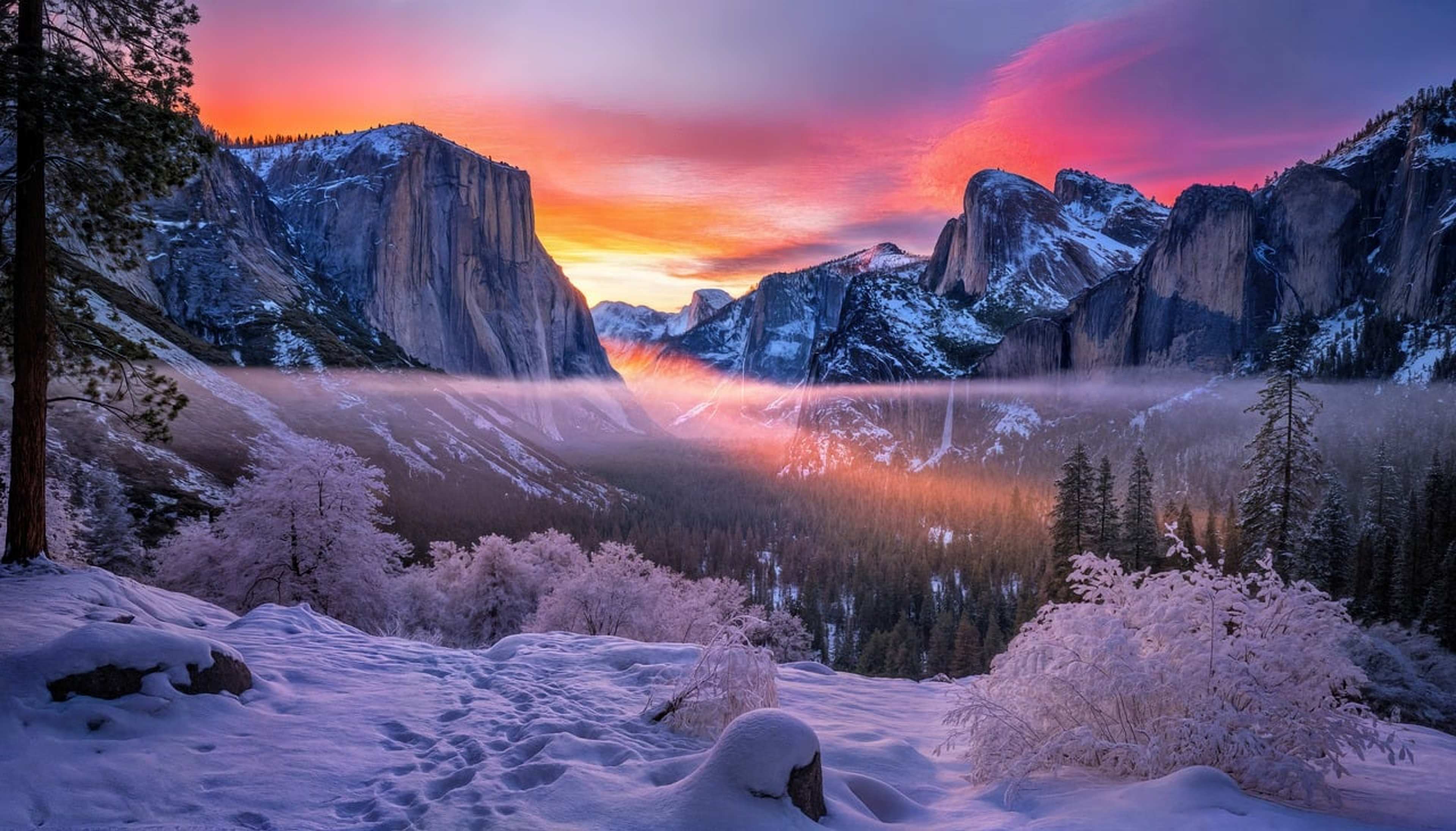 6 National Parks Worth Visiting in Winter